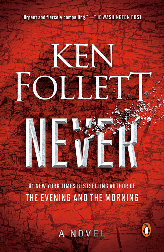 Never book cover