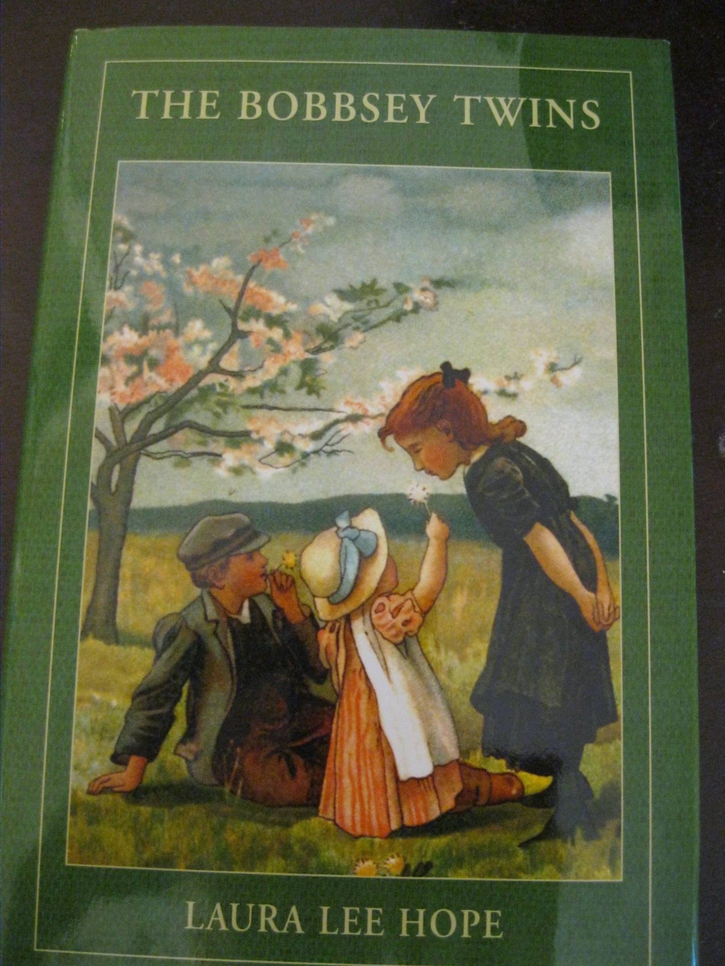 The Bobbsey Twins or Merry Days Indoors and Out (Book-of-the-Month Club Edition) (The Bobbsey Twins, 1) book cover