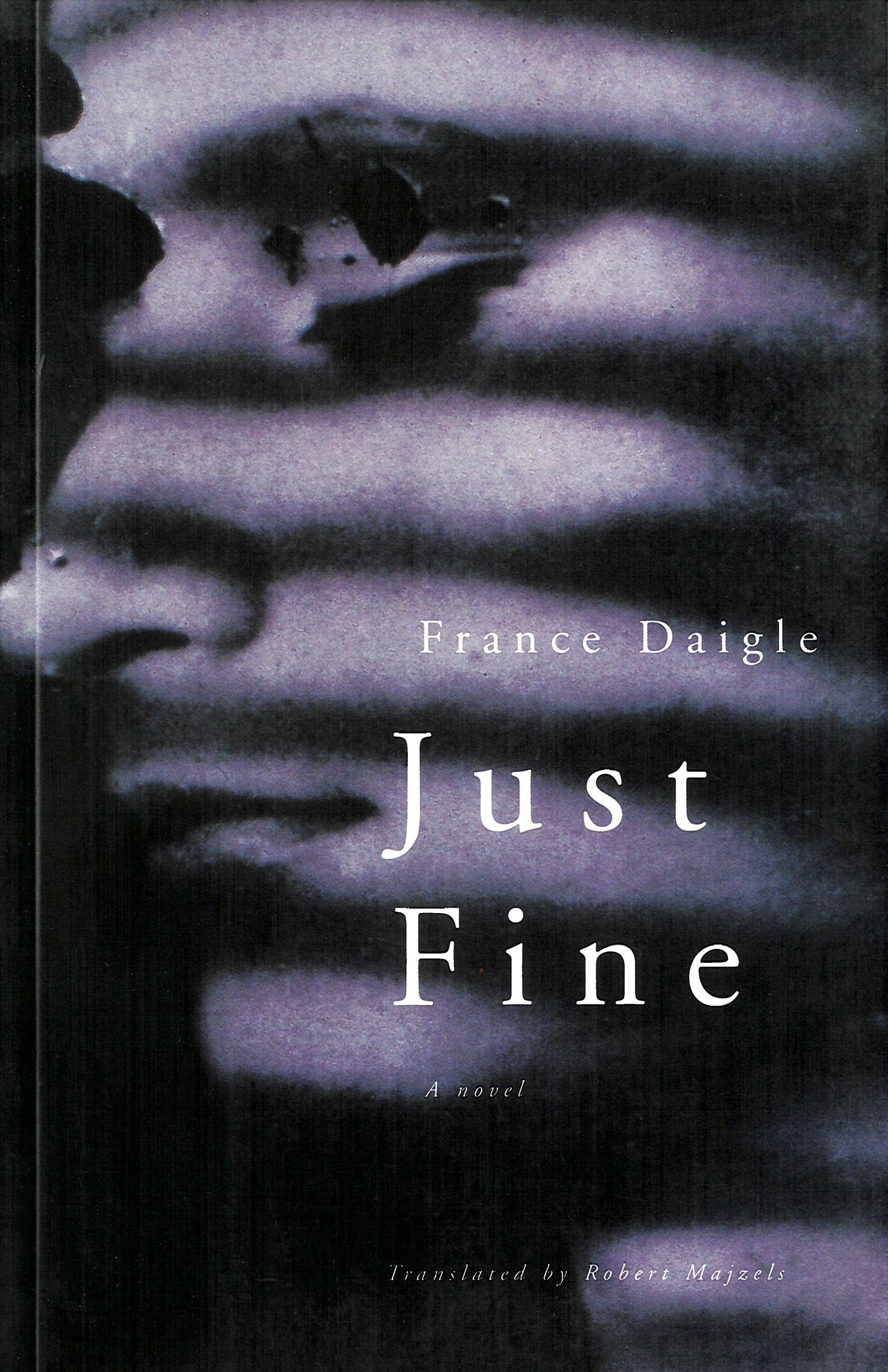 Just Fine: A Novel book cover