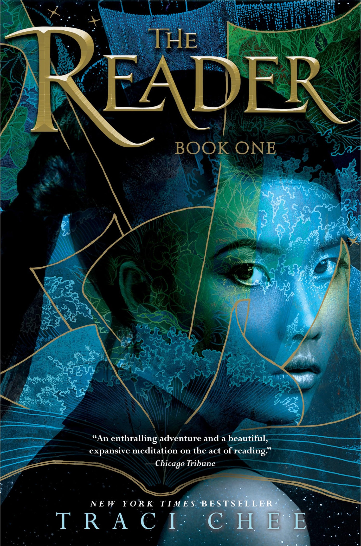 The Reader book cover