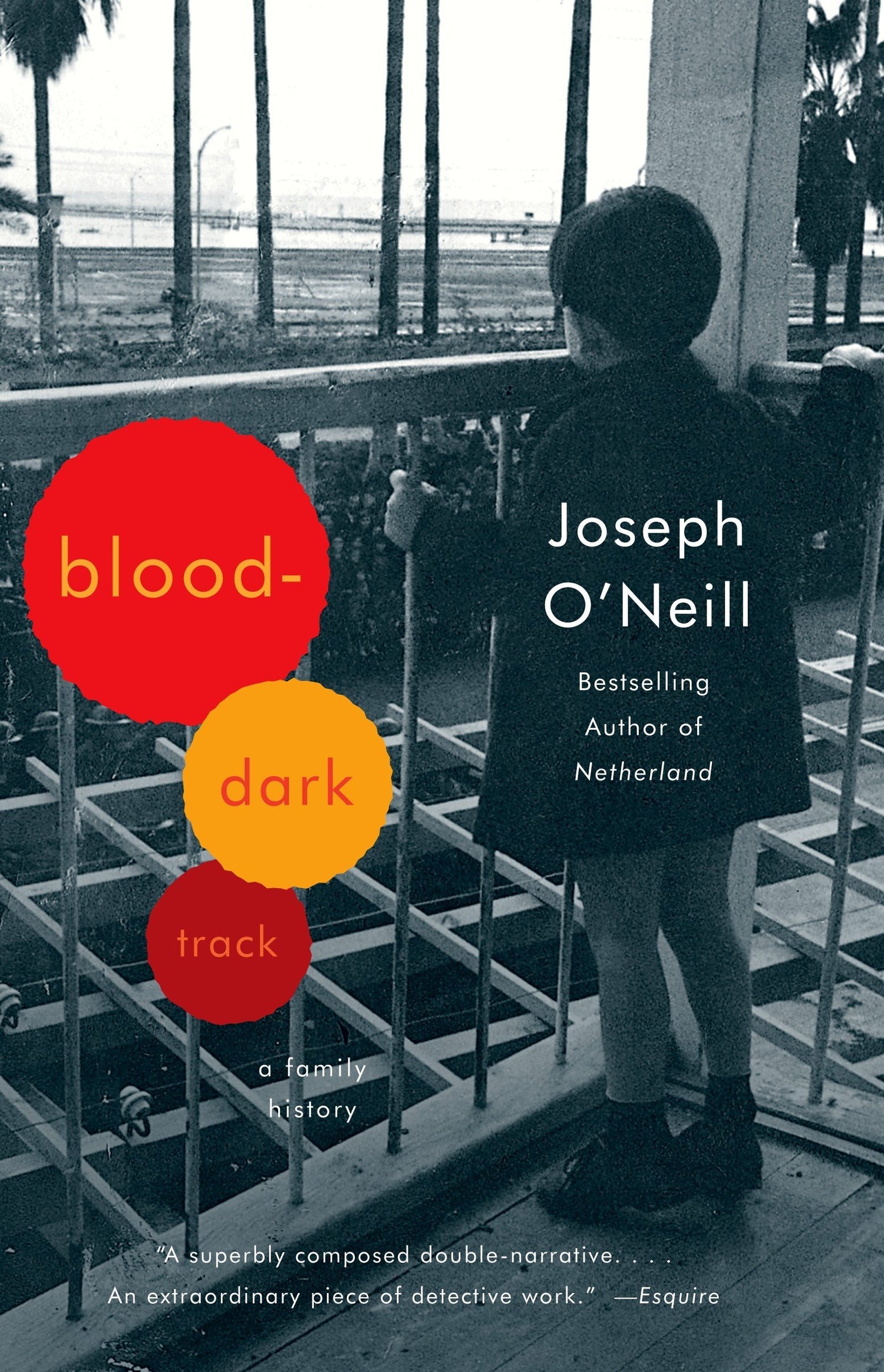 Blood-Dark Track: A Family History book cover