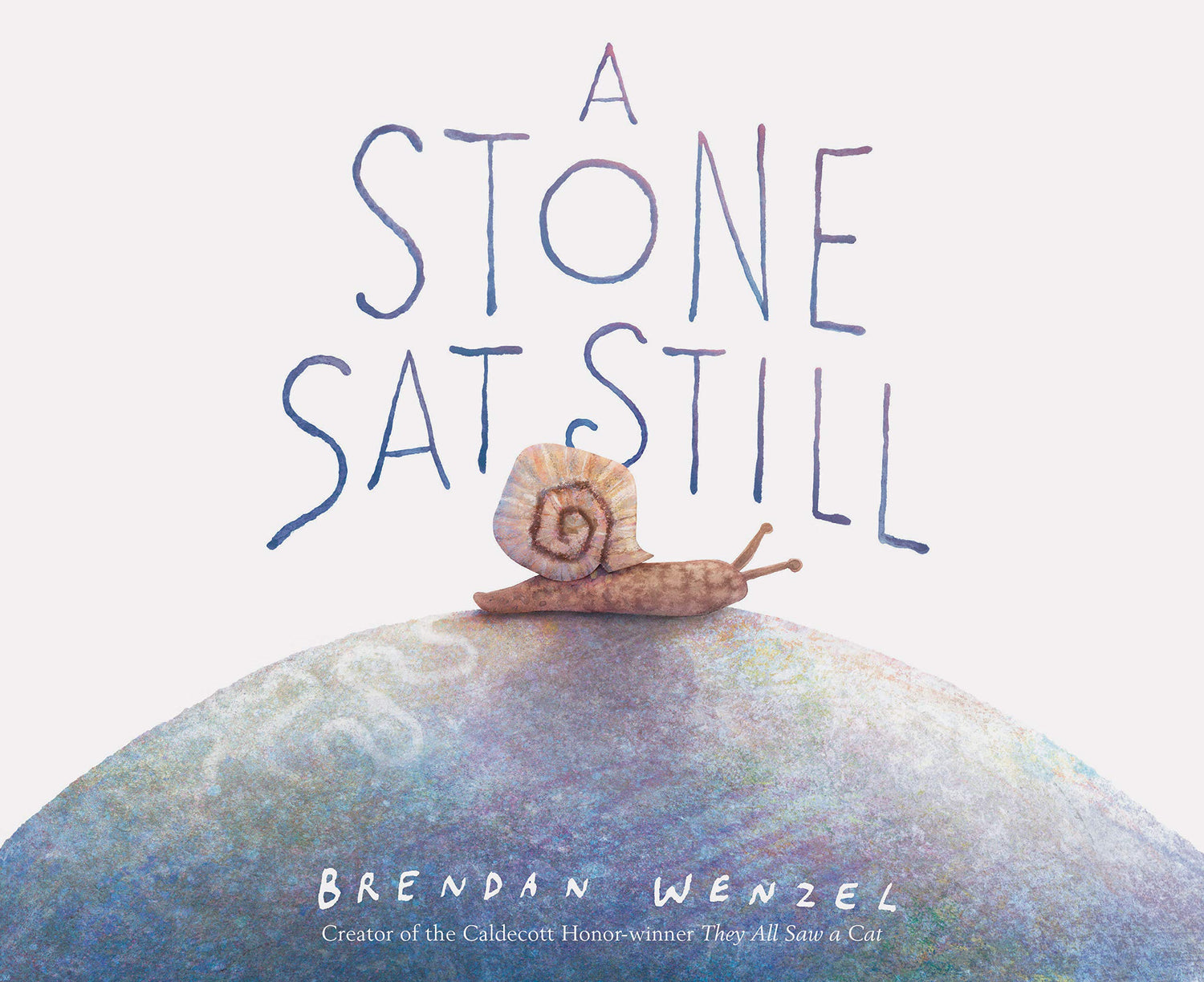 A Stone Sat Still book cover