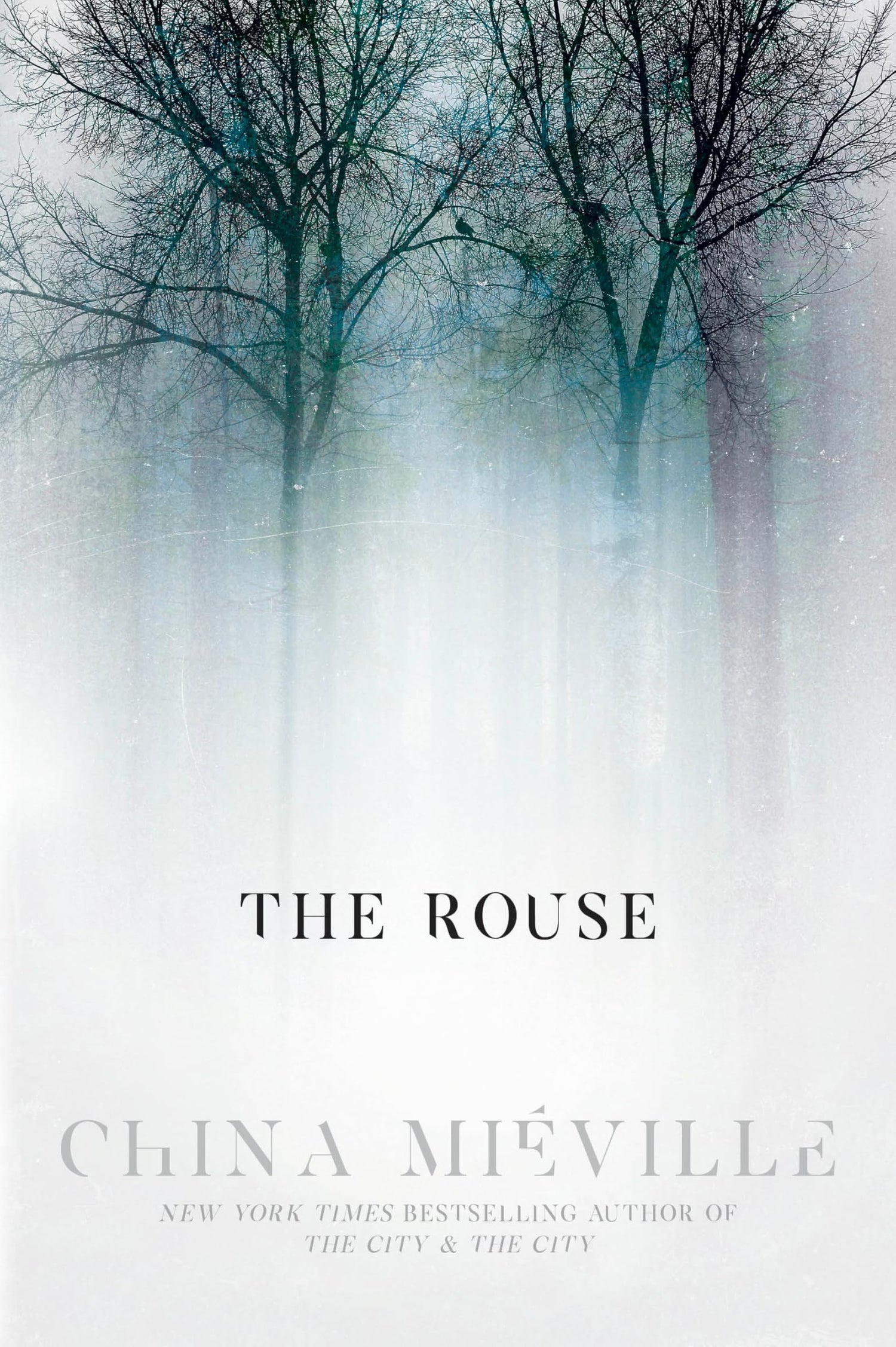 The Rouse book cover