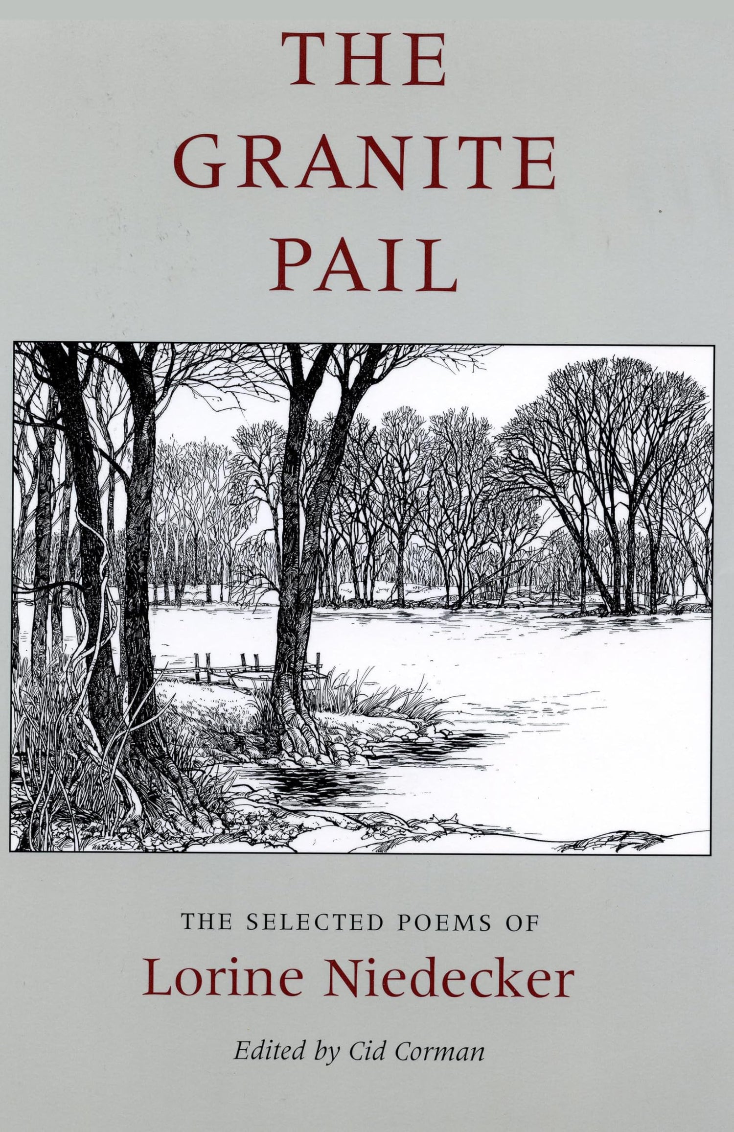 The Granite Pail book cover