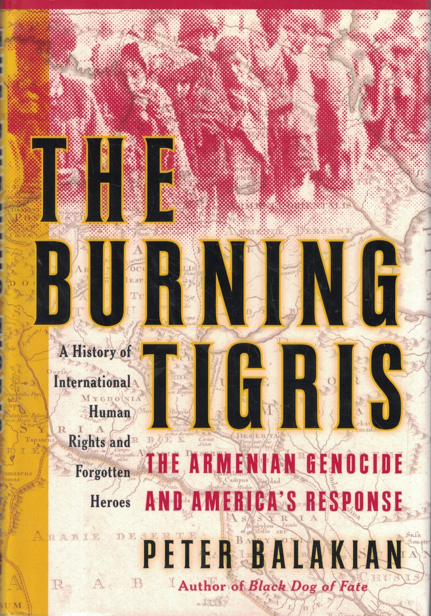Burning Tigris: The Armenian Genocide and America's Response book cover