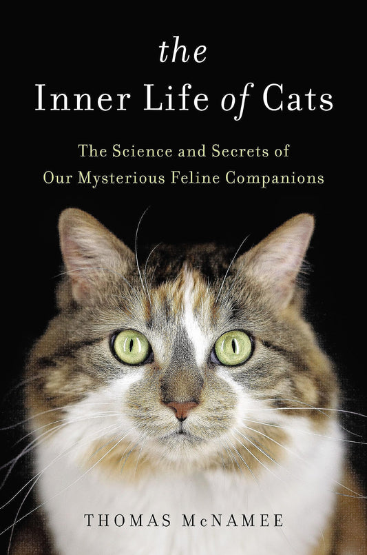 Inner Life of Cats: The Science and Secrets of Our Mysterious Feline Companions