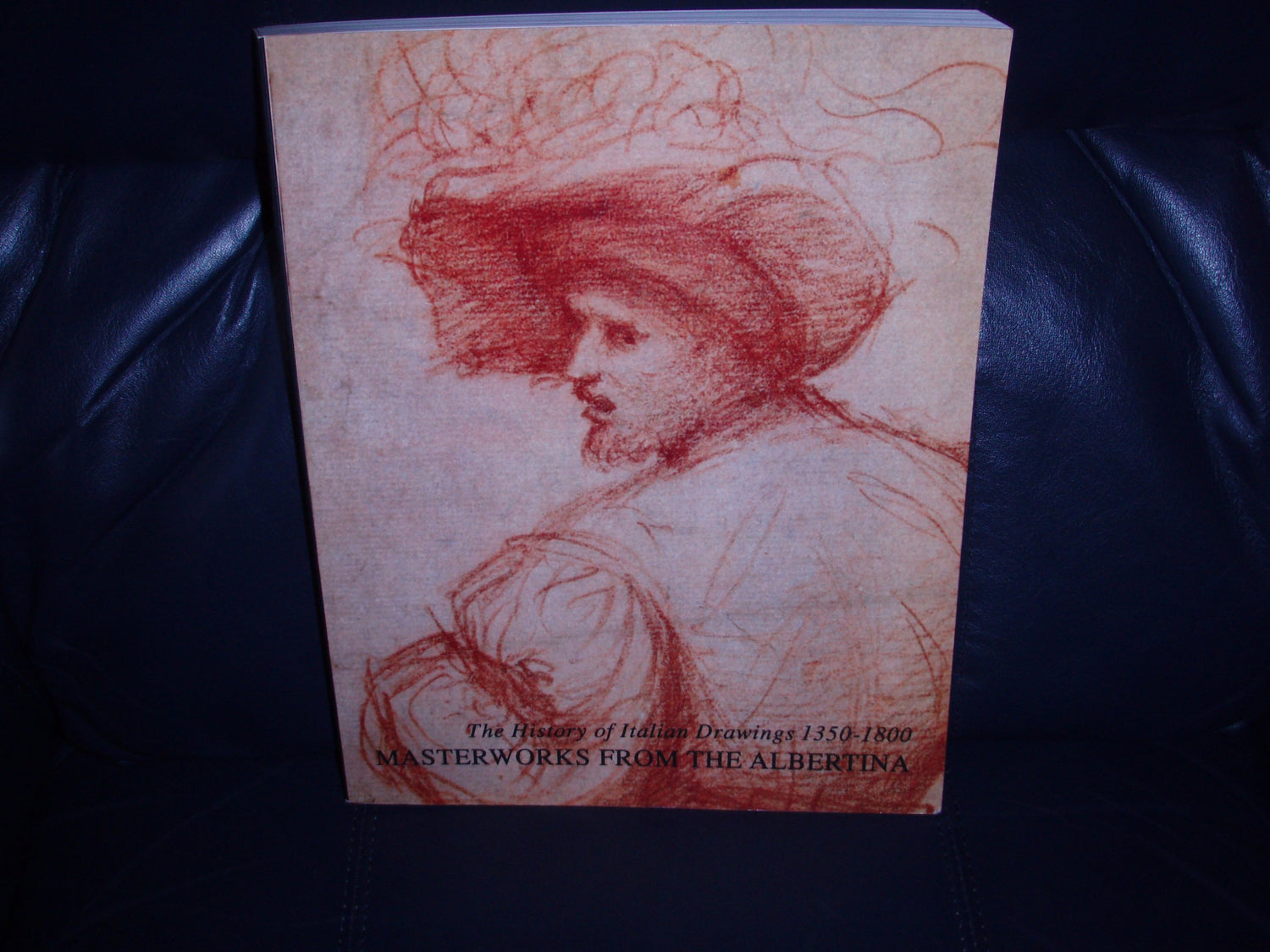 Masterworks from the Albertina (English) book cover