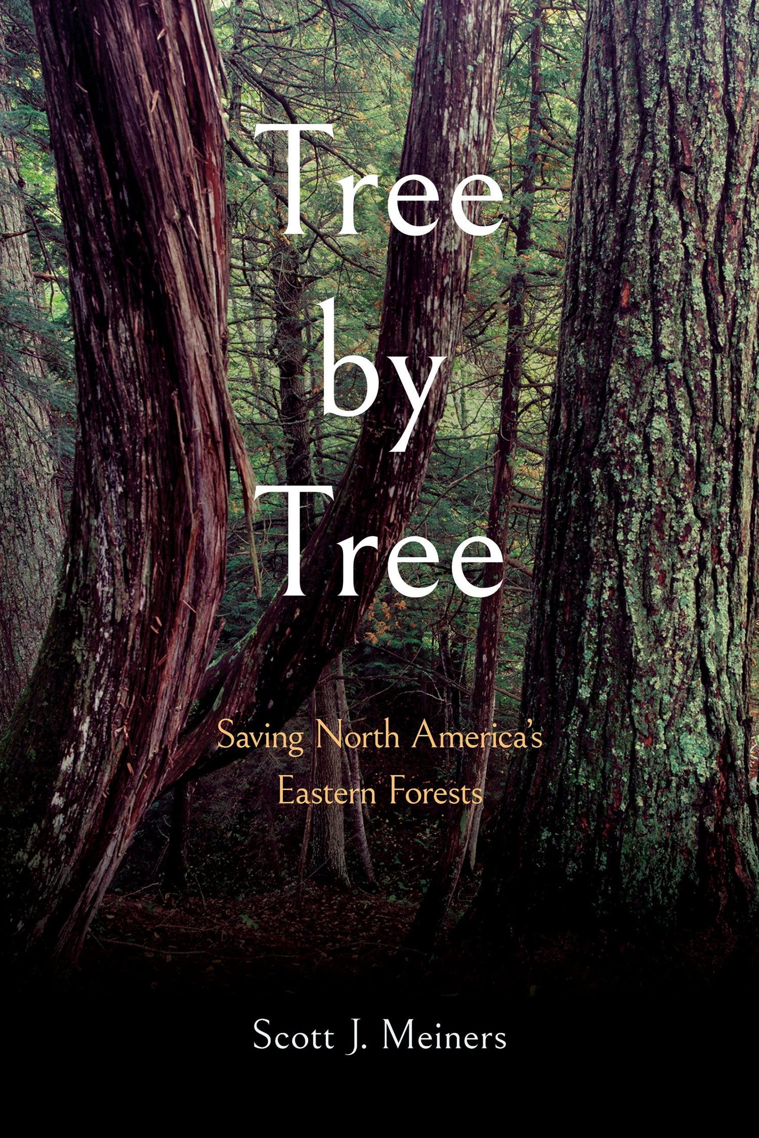 Tree by Tree: Saving North America's Eastern Forests book cover
