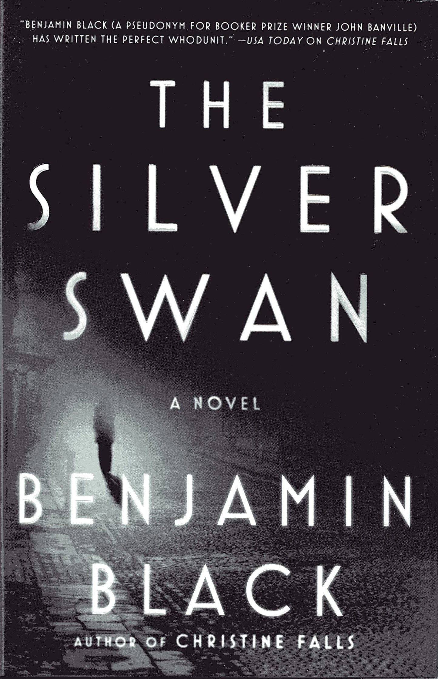 Silver Swan book cover