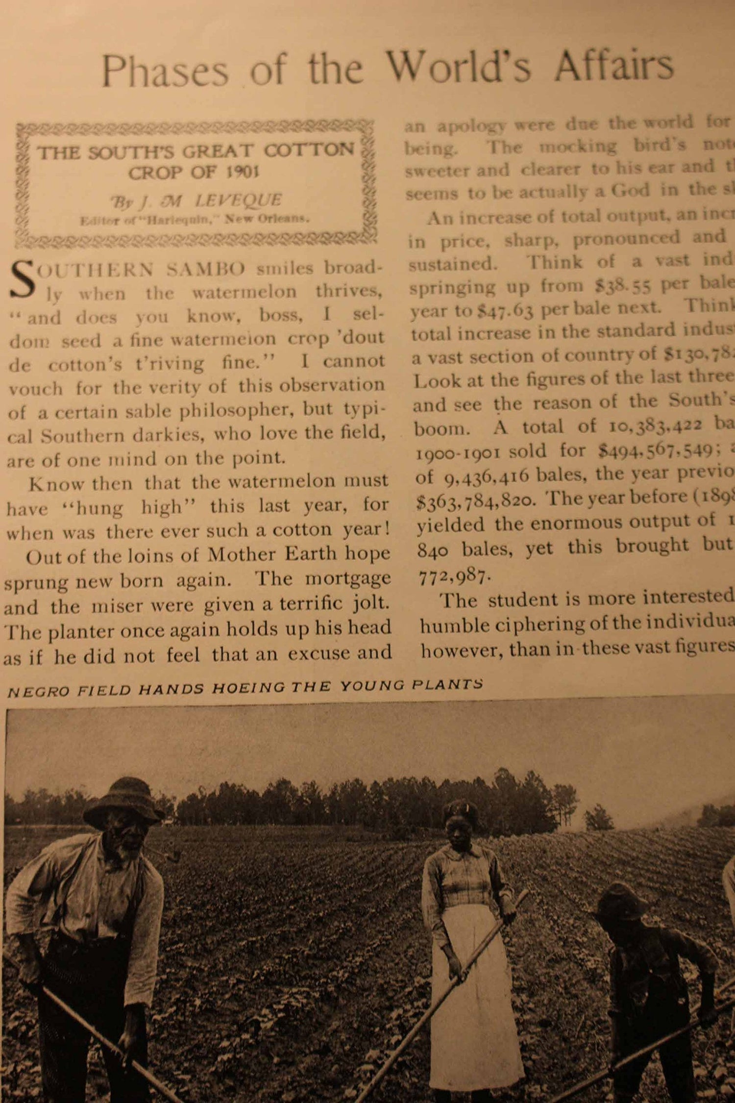 Pruning Book book cover