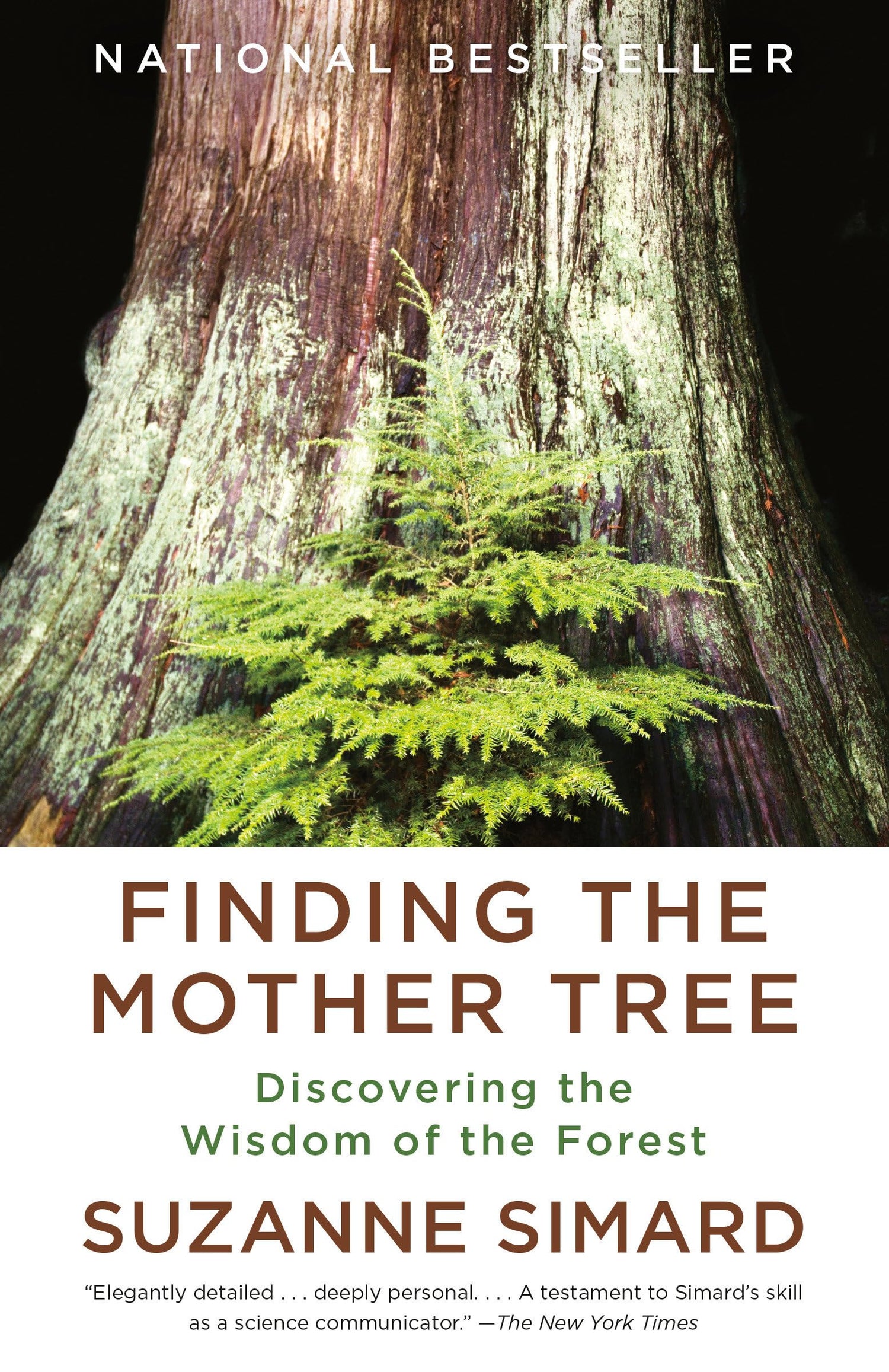 Finding the Mother Tree book cover