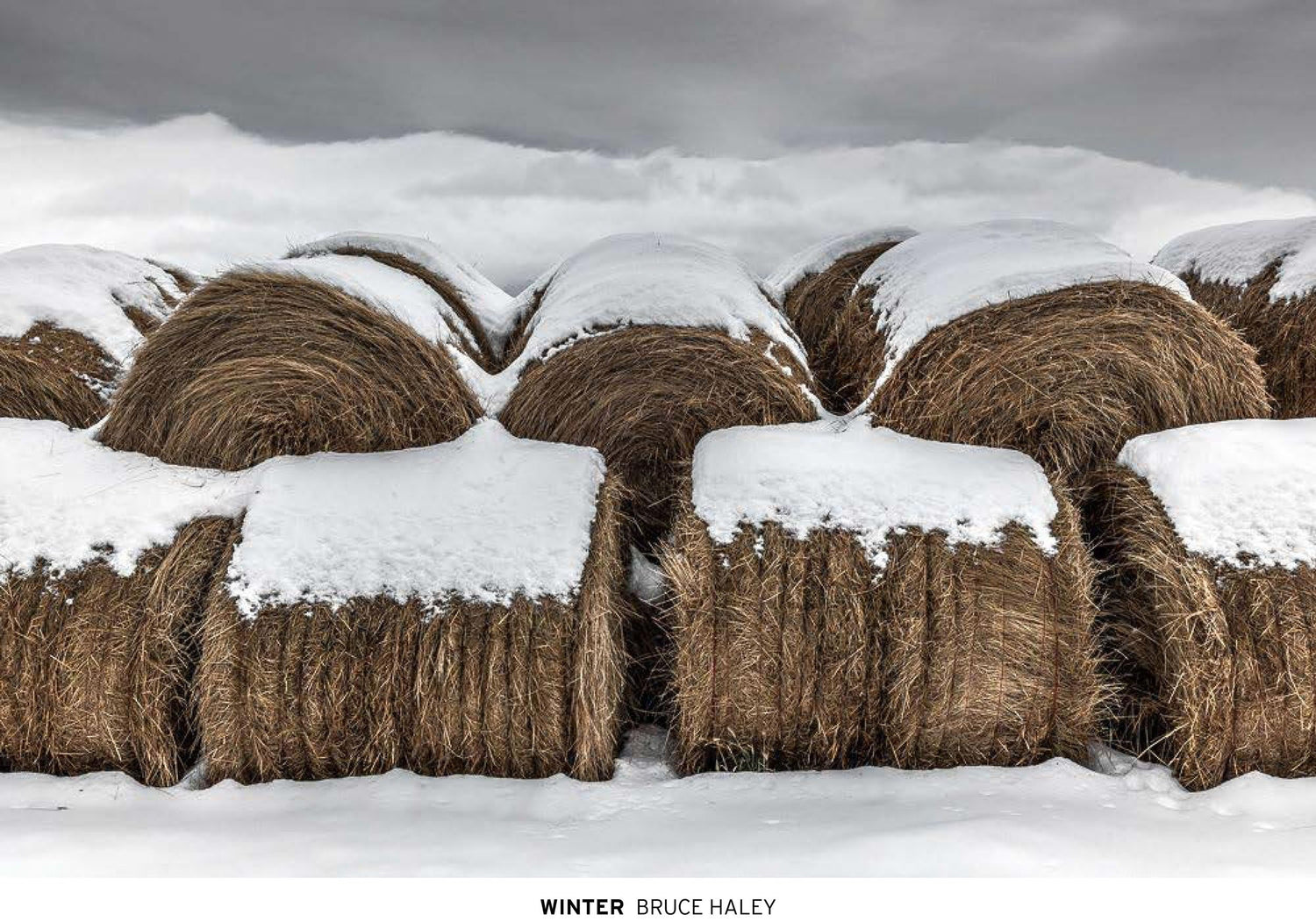 Winter book cover