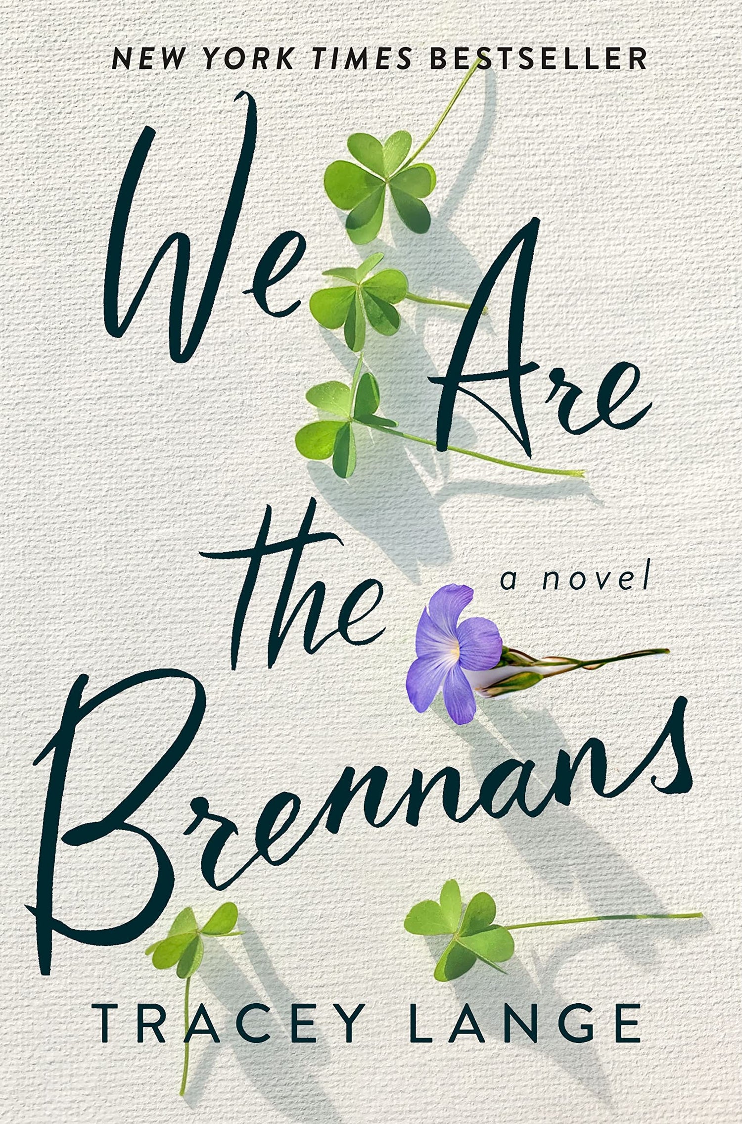 We Are the Brennans book cover