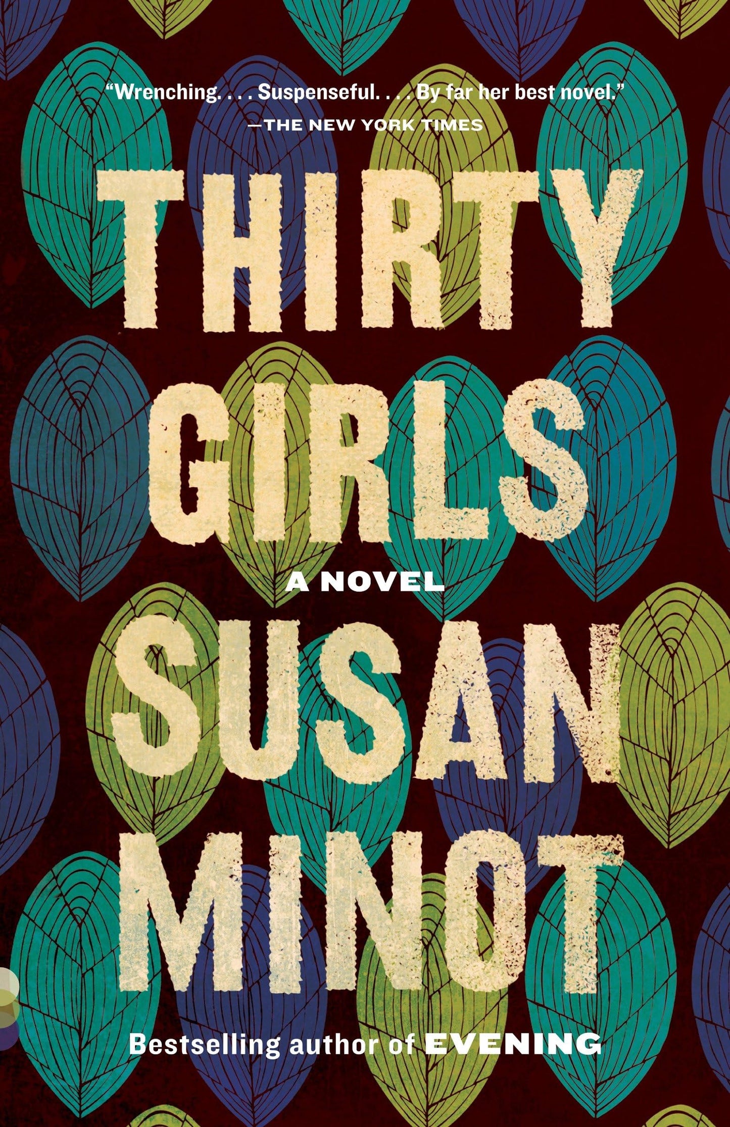 Thirty Girls book cover