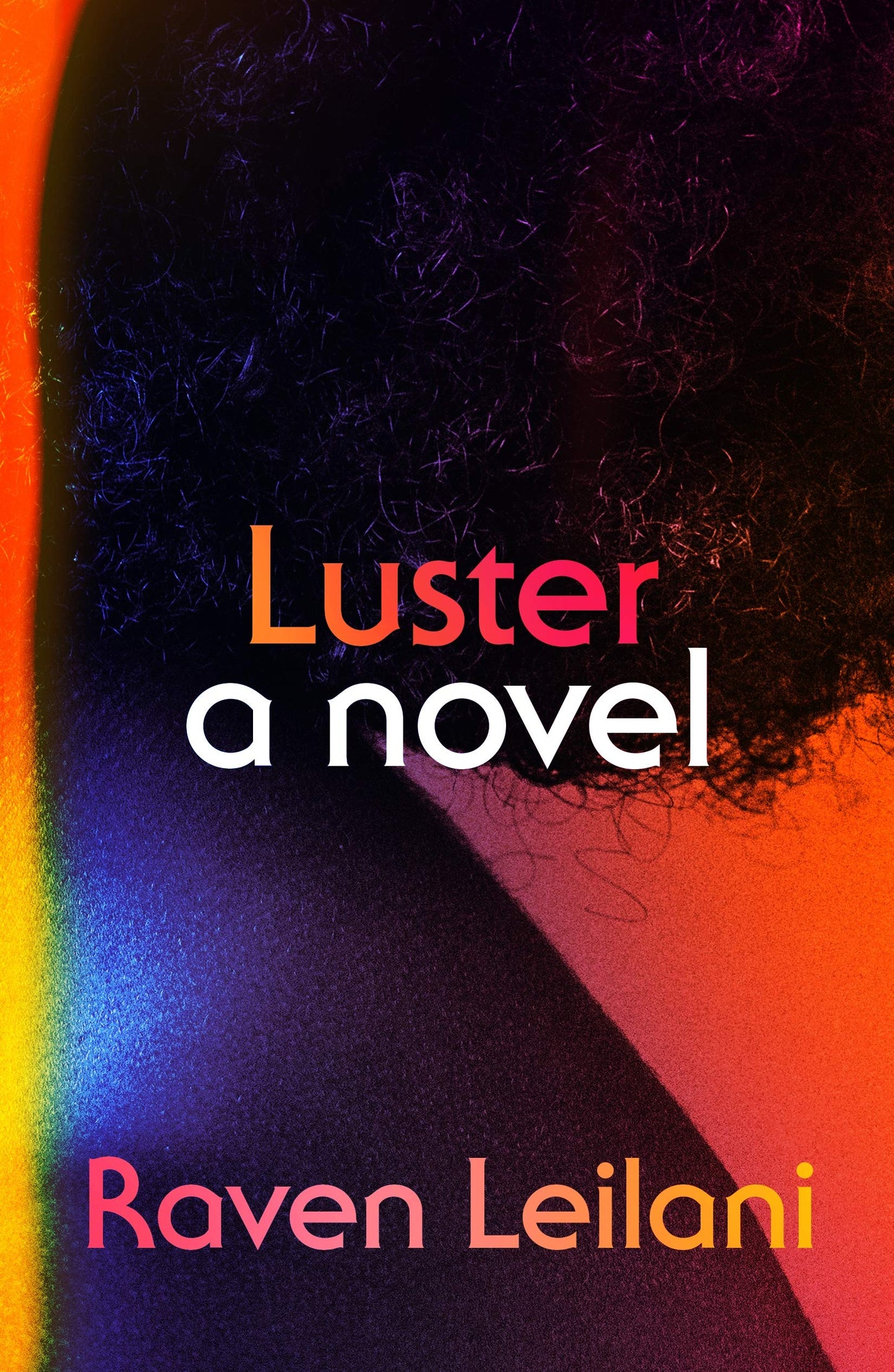 Luster book cover