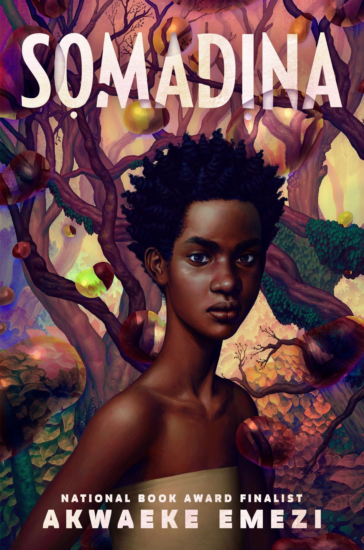 Somadina book cover