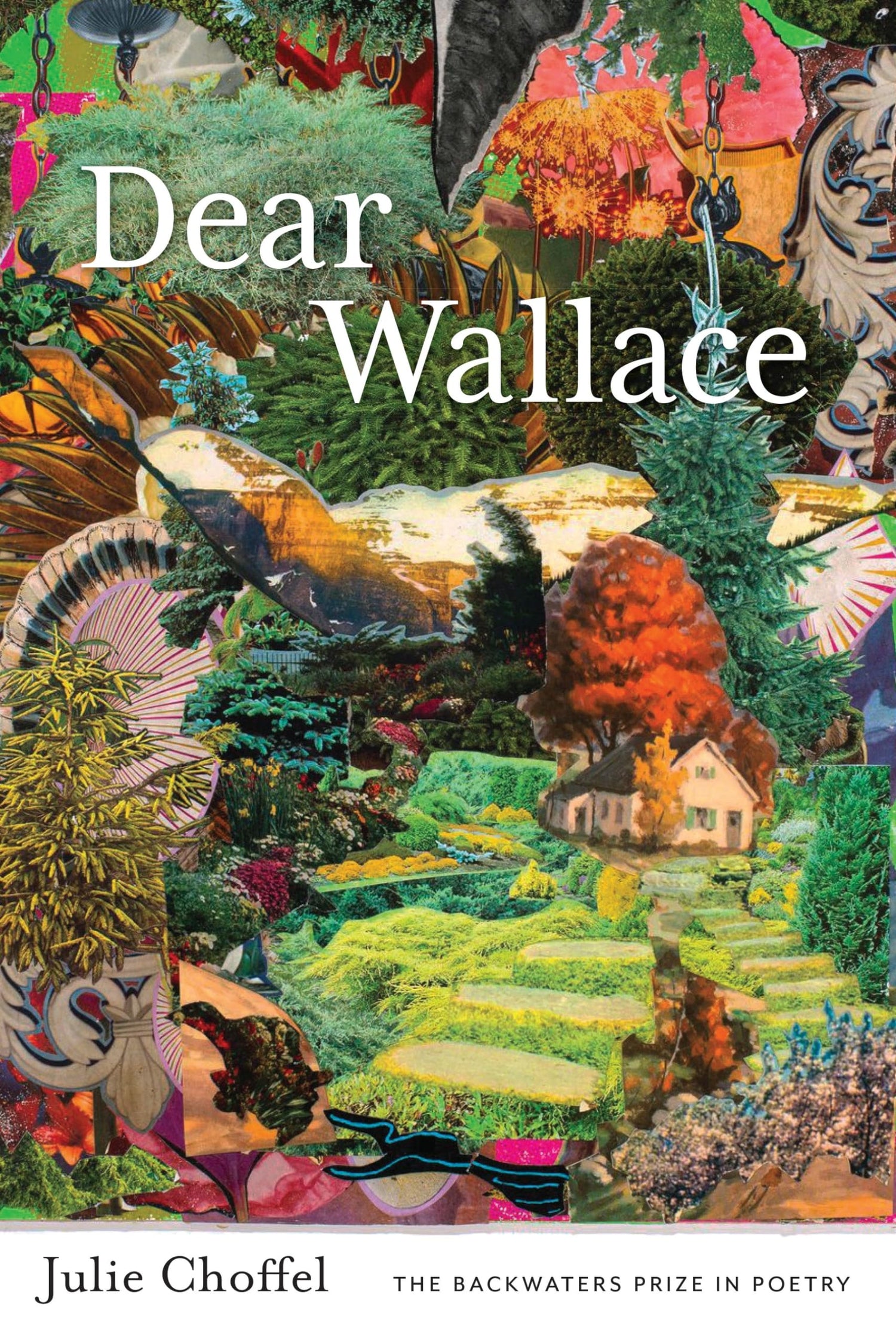 Dear Wallace book cover