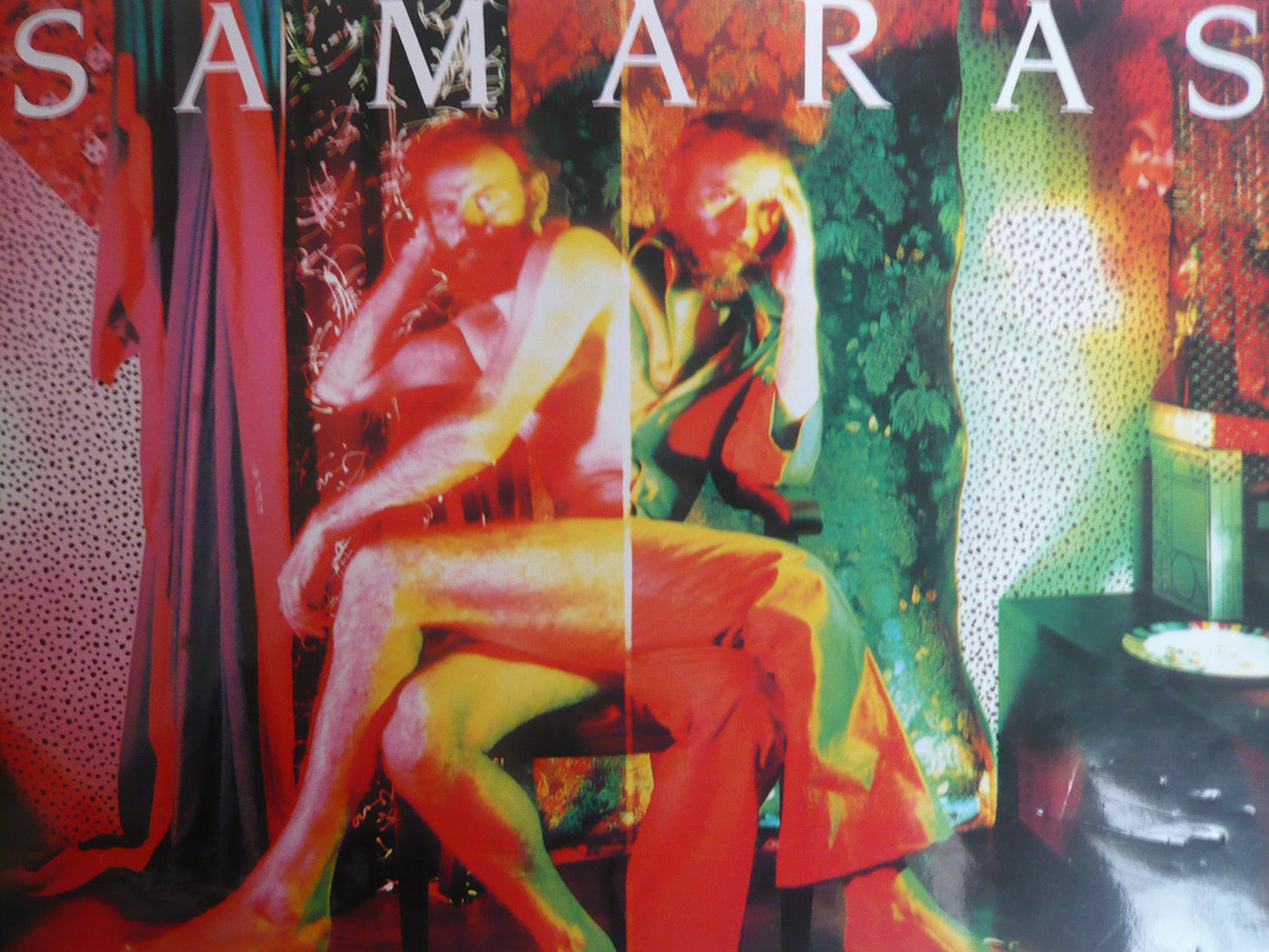 Samaras book cover