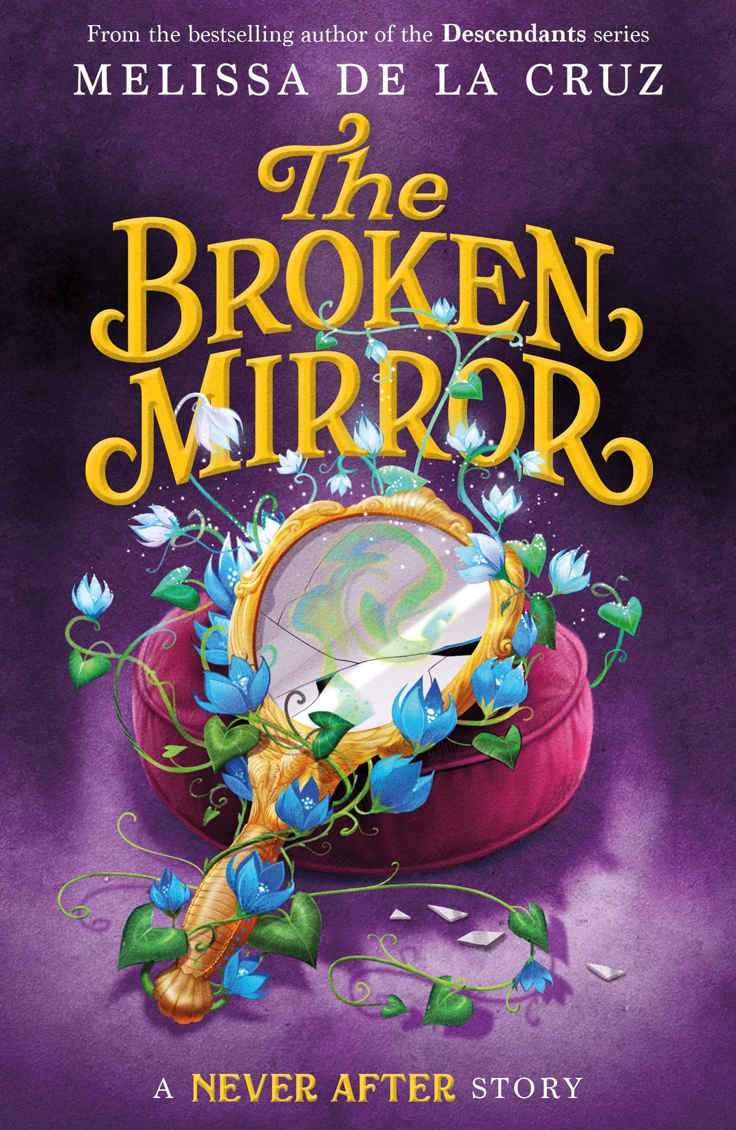 Never After: The Broken Mirror book cover