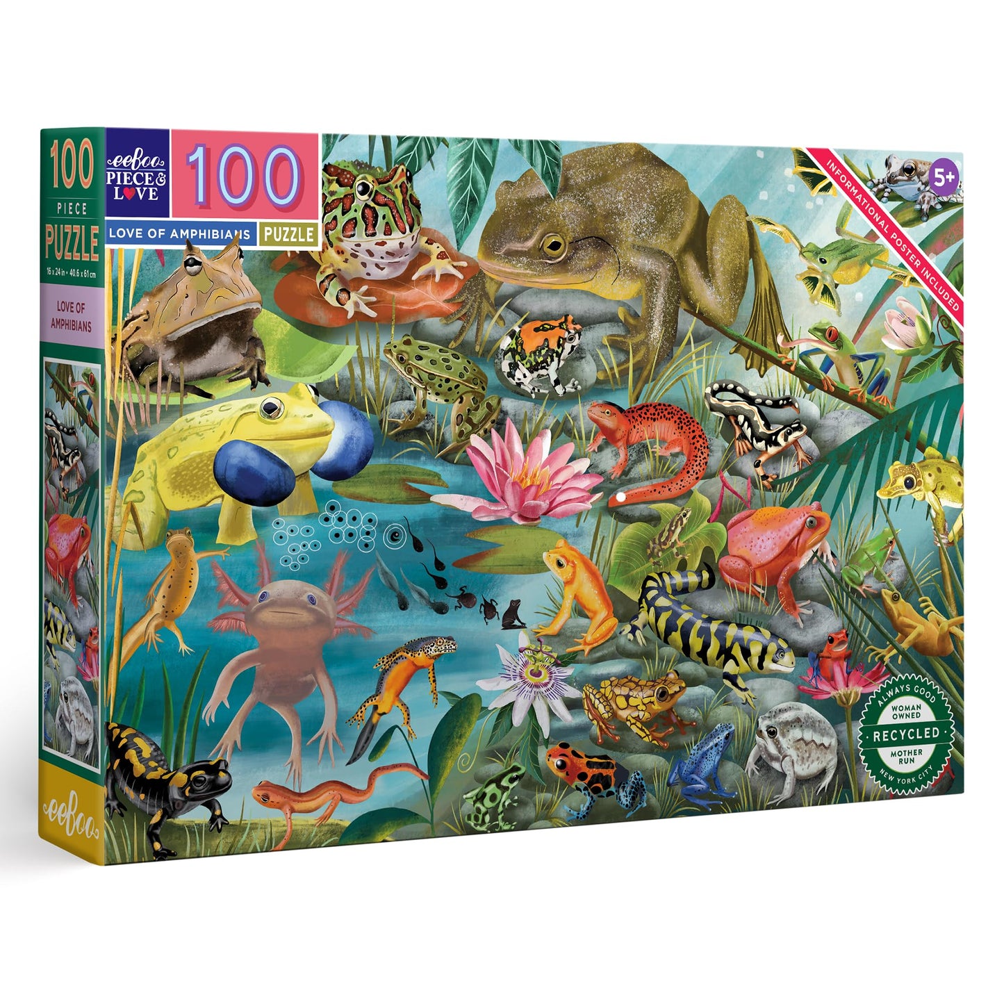 eeBoo: Love of Amphibians - 100 Piece Puzzle - 24 x 16 Kids Jigsaw, Oversized Glossy Pieces, Informational Poster Included, Ages 5+