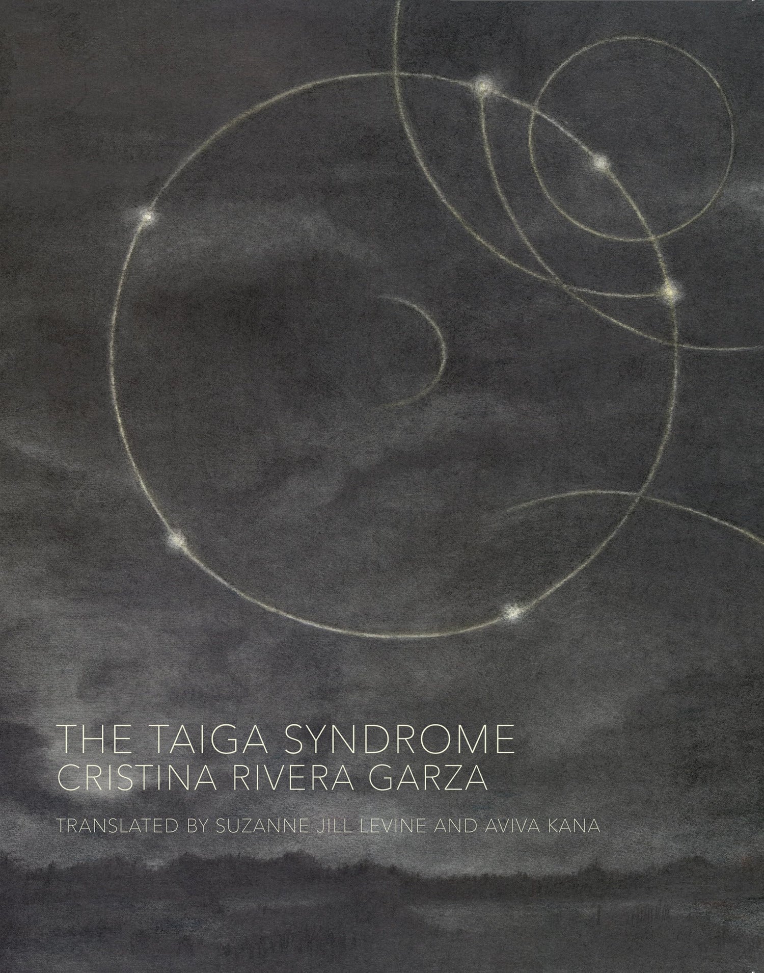 Taiga Syndrome book cover