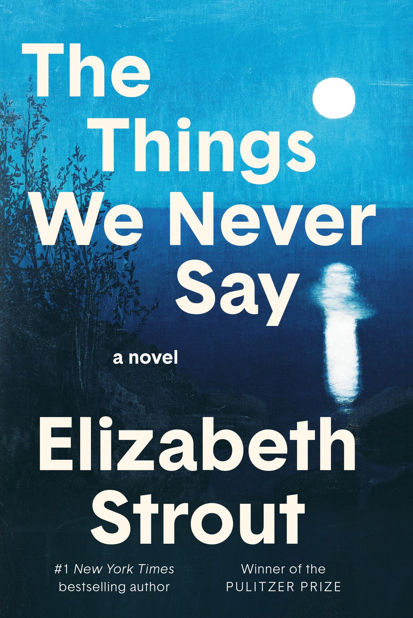 The Things We Never Say book cover