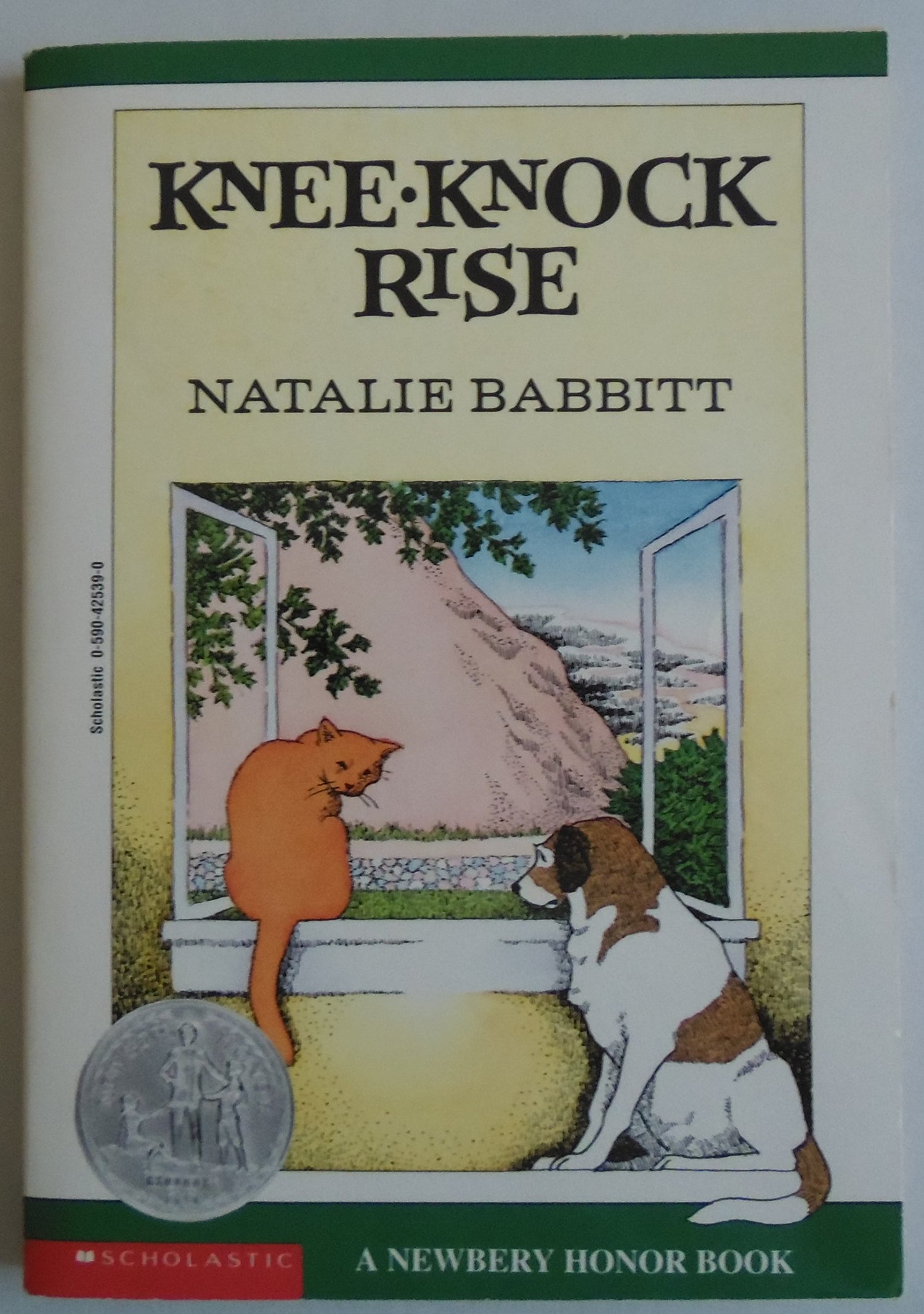 Kneeknock Rise book cover