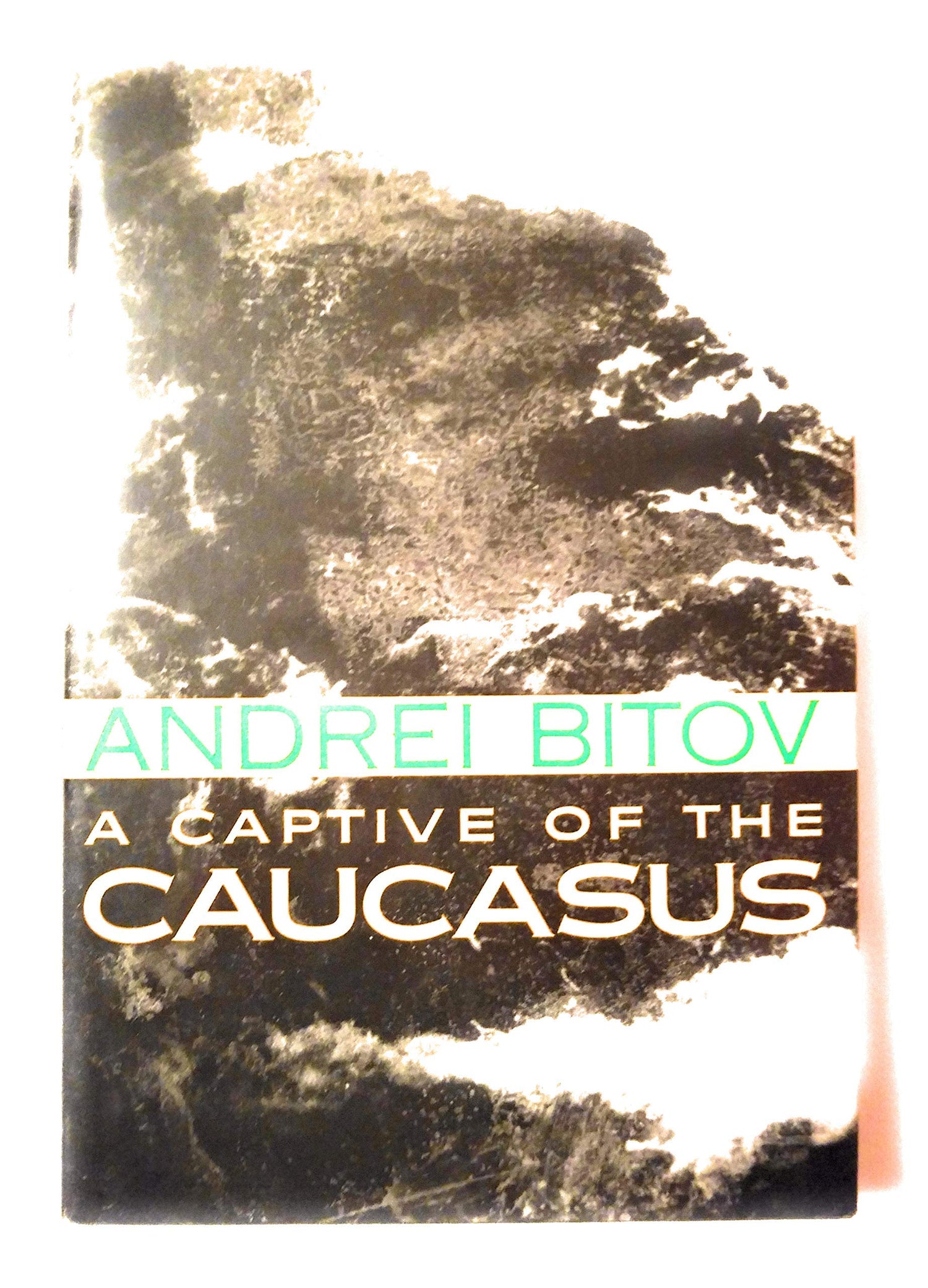 Captive of the Caucasus book cover