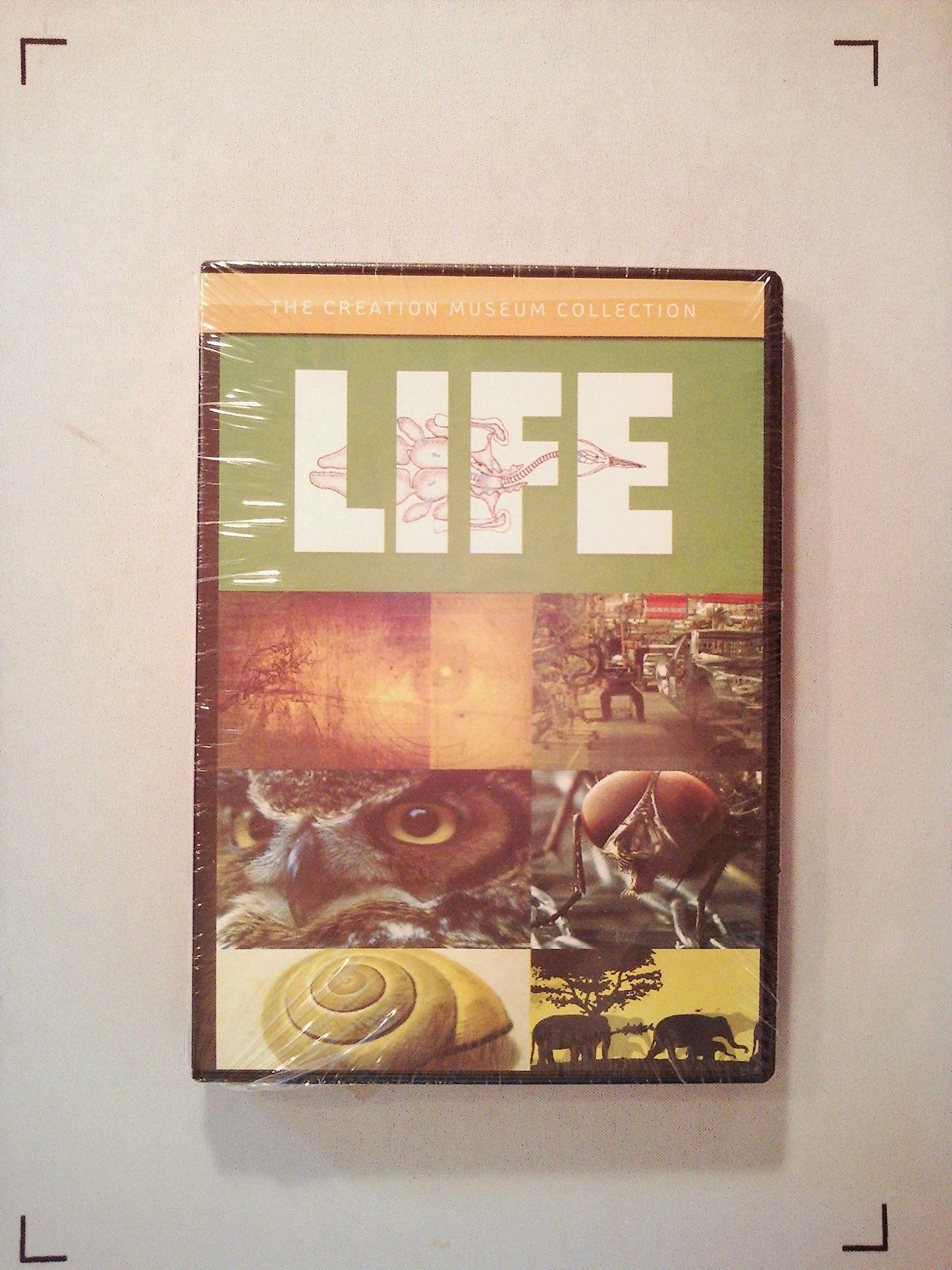 Life book cover