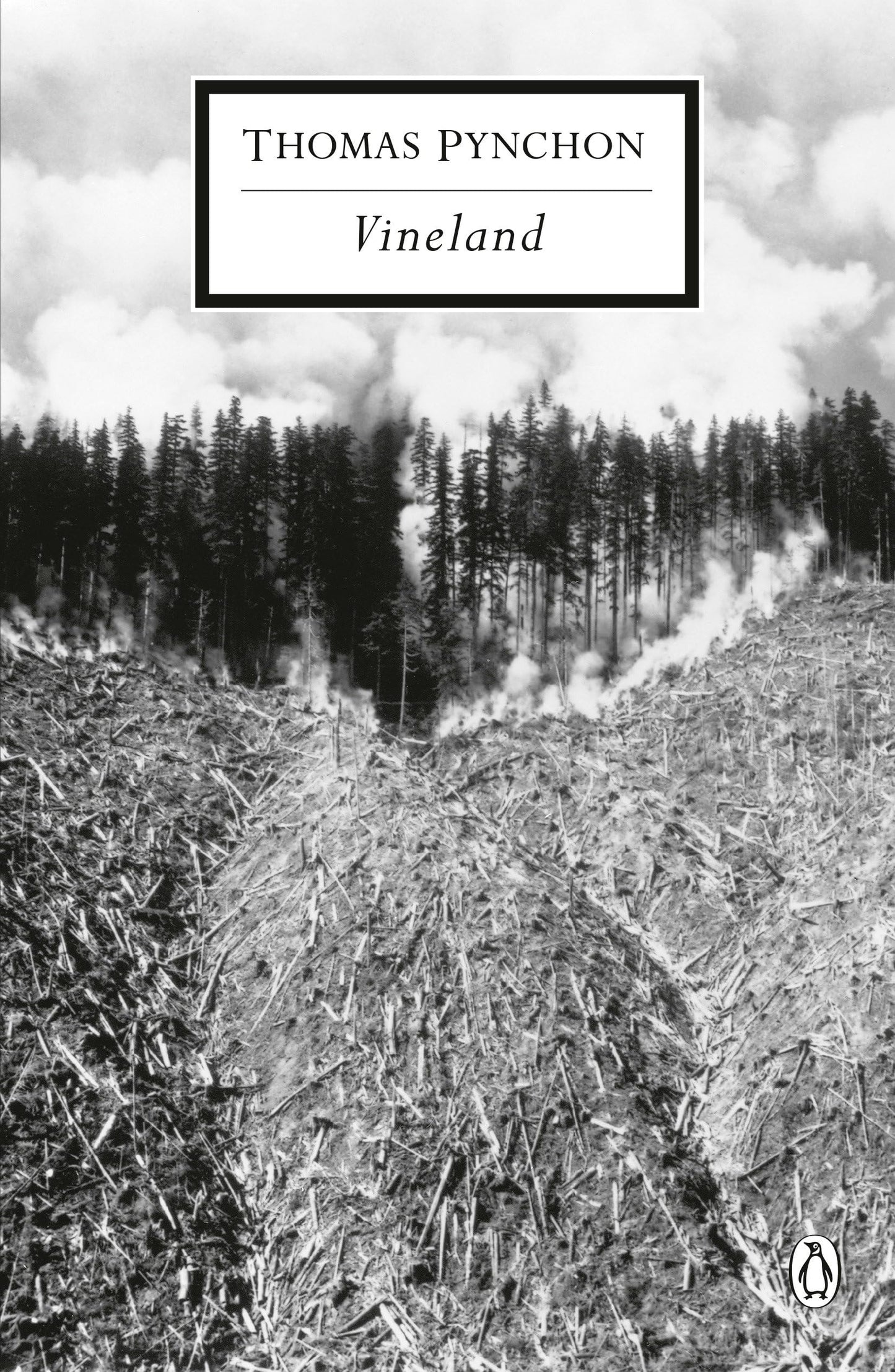 Vineland book cover