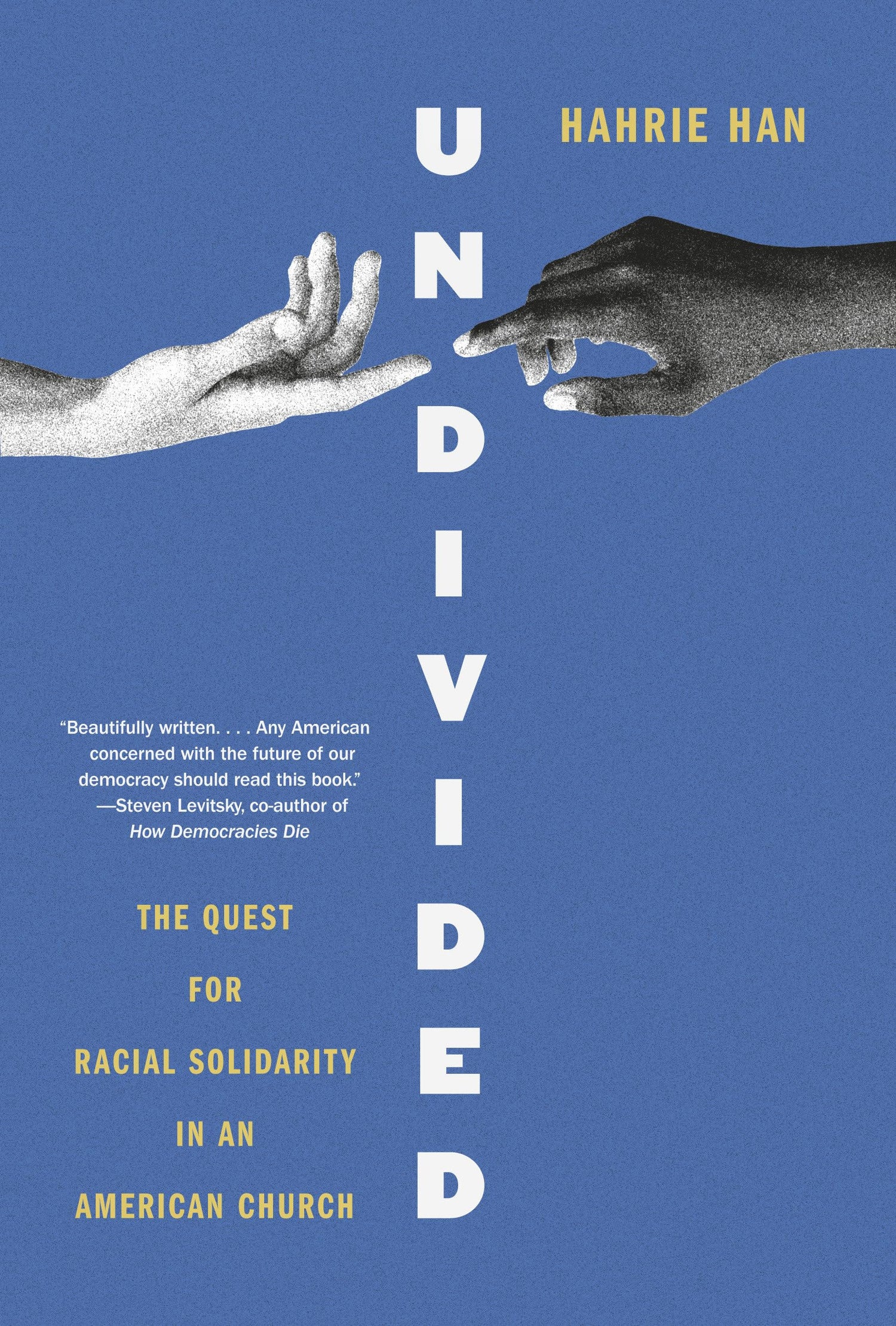 Undivided: The Quest for Racial Solidarity in an American Church book cover