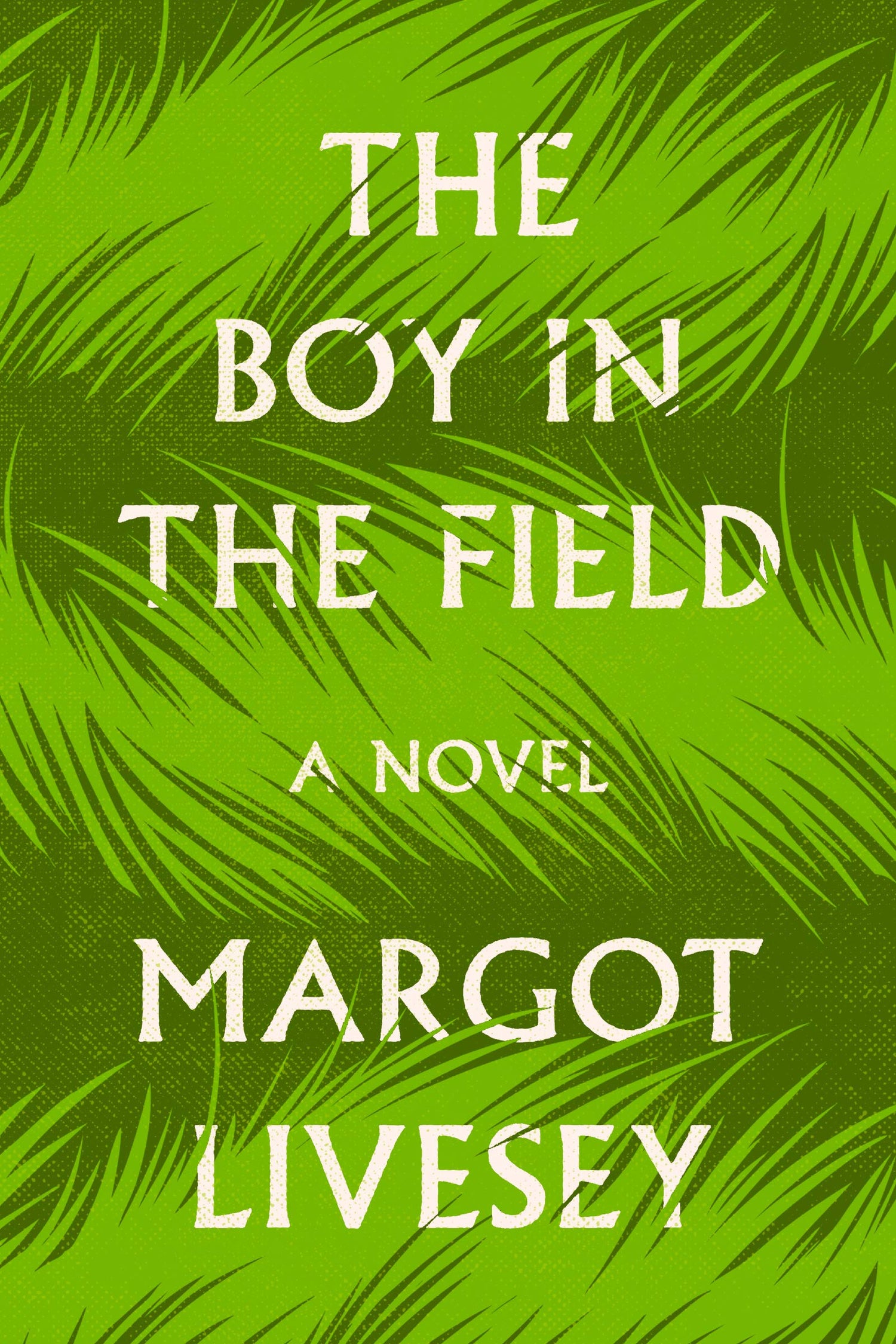 Boy in the Field book cover