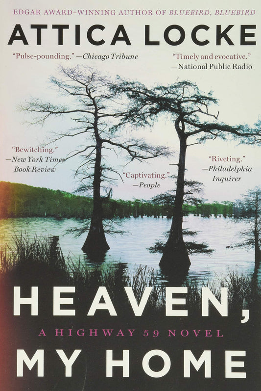 Heaven, My Home book cover