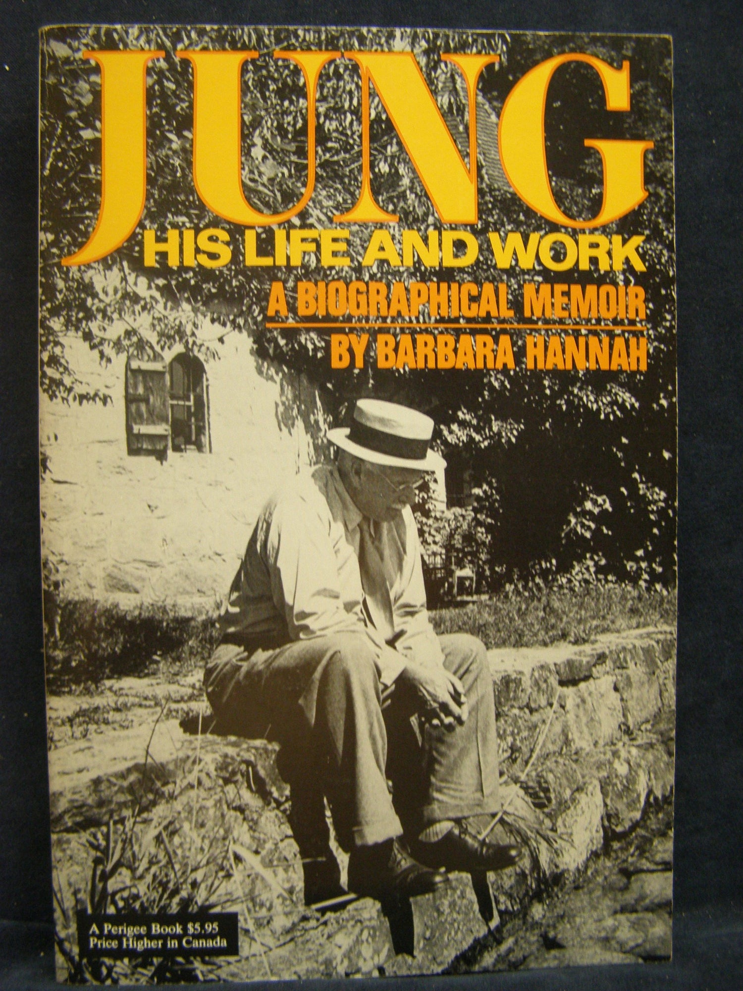 Jung Life and Work book cover