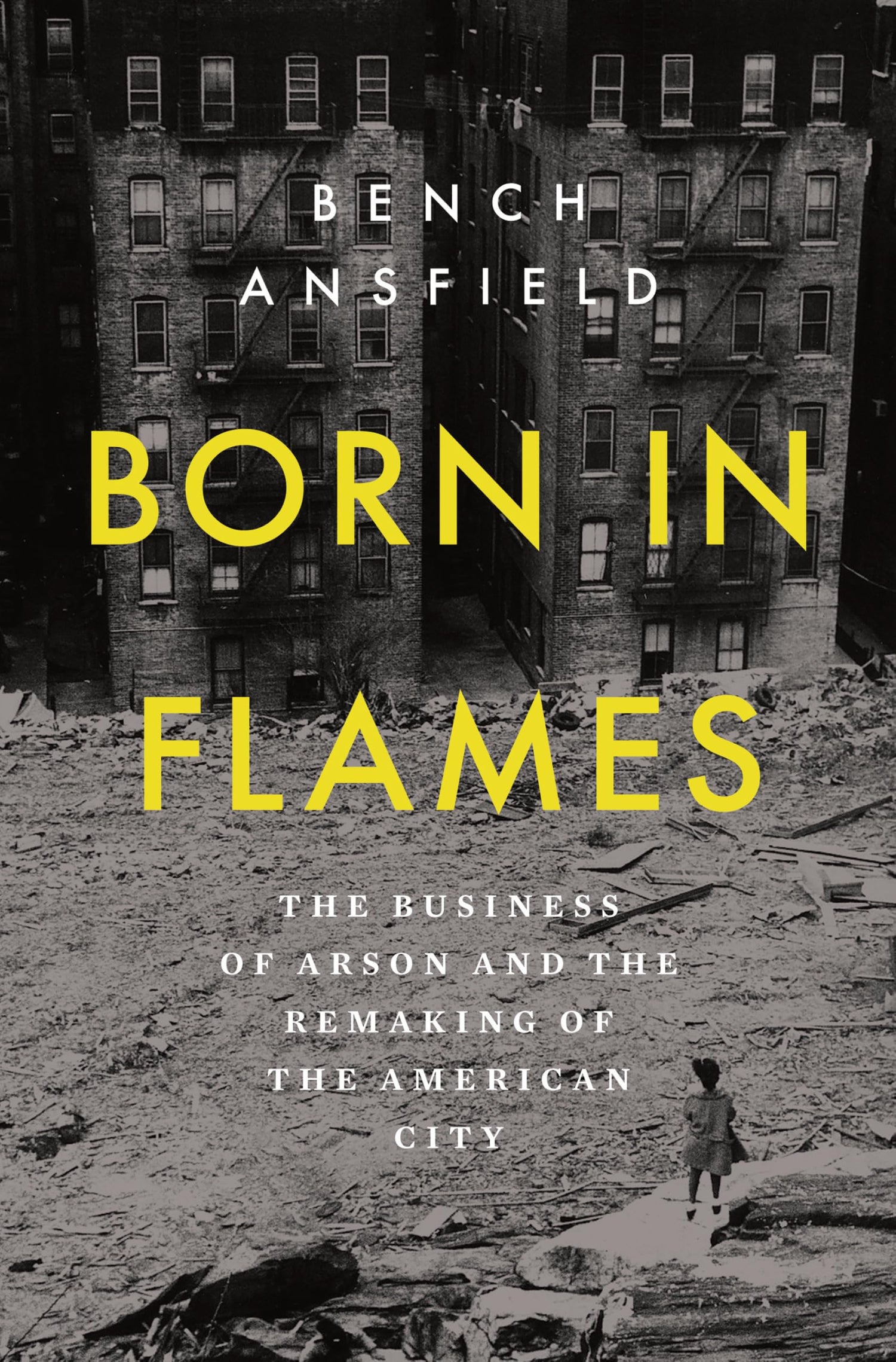 Born in Flames book cover