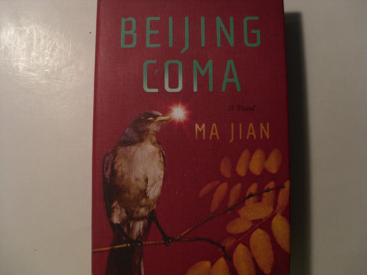 Beijing Coma
