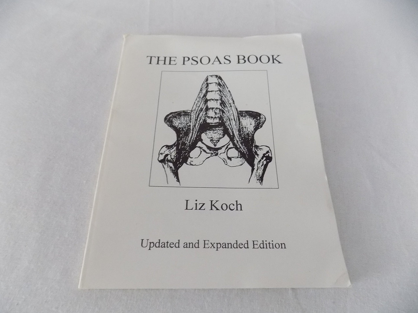 The Psoas Book book cover