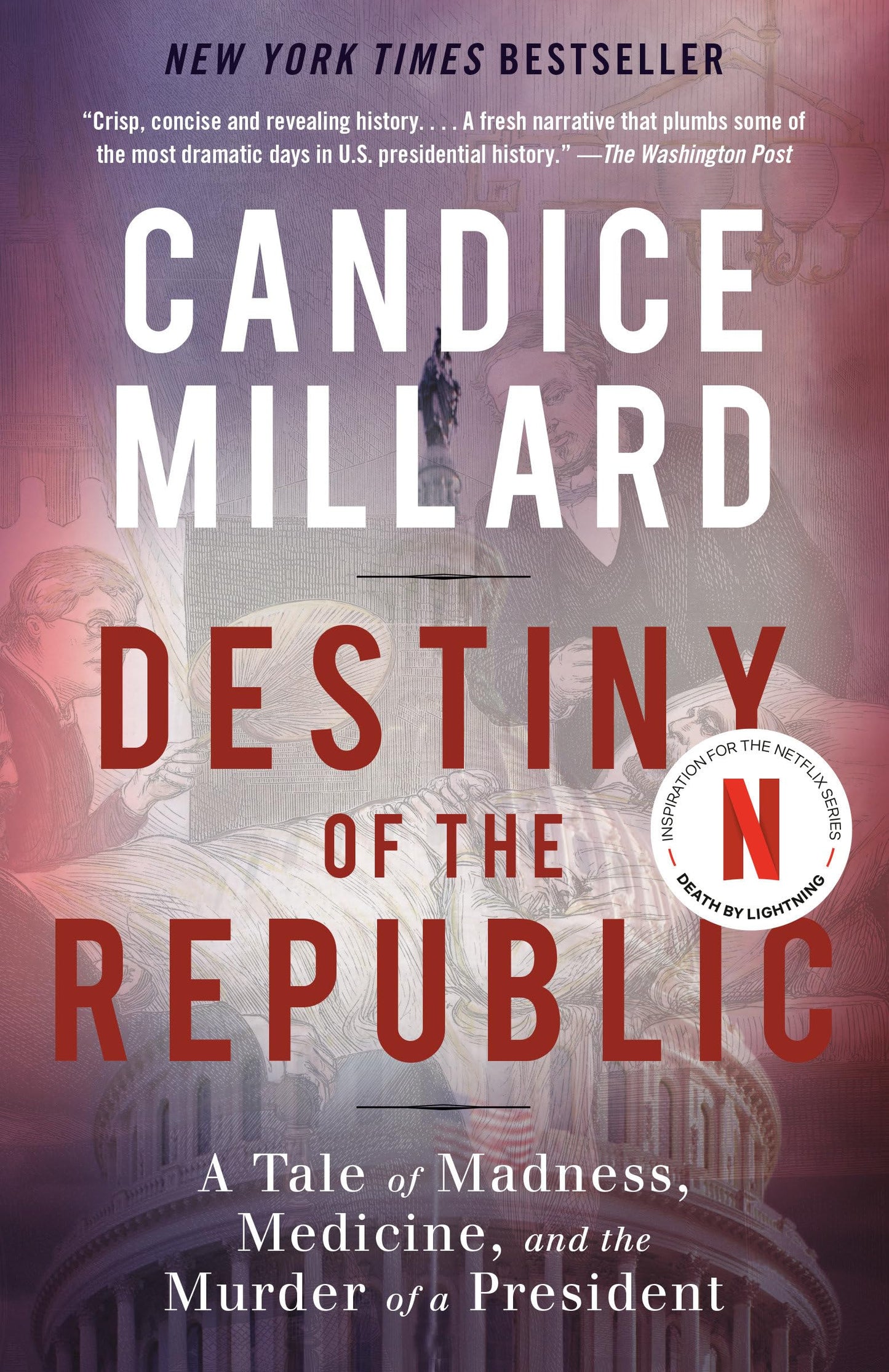 Destiny of the Republic: A Tale of Madness, Medicine and the Murder of a President book cover