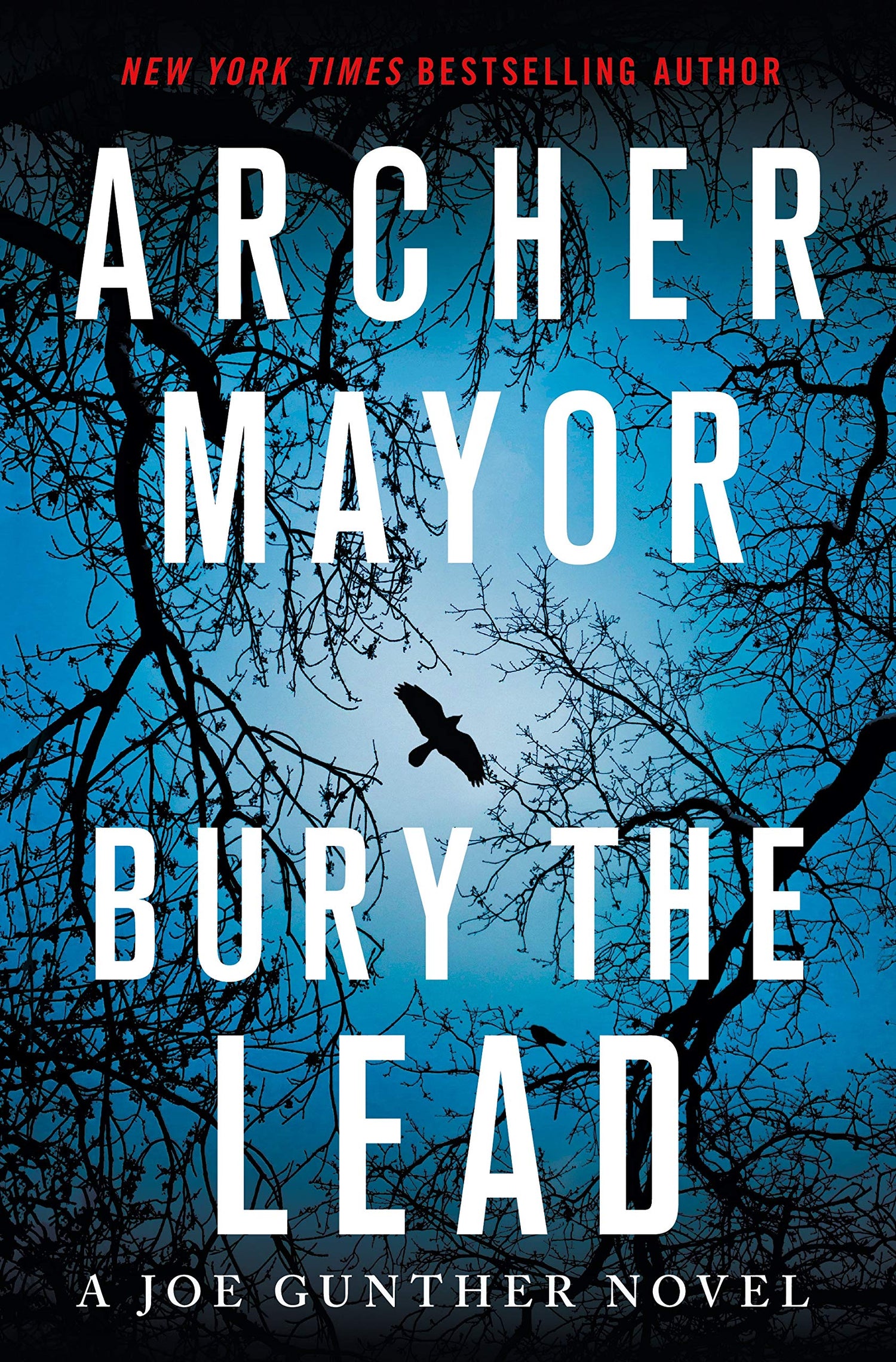 Bury the Lead: A Joe Gunther Novel book cover
