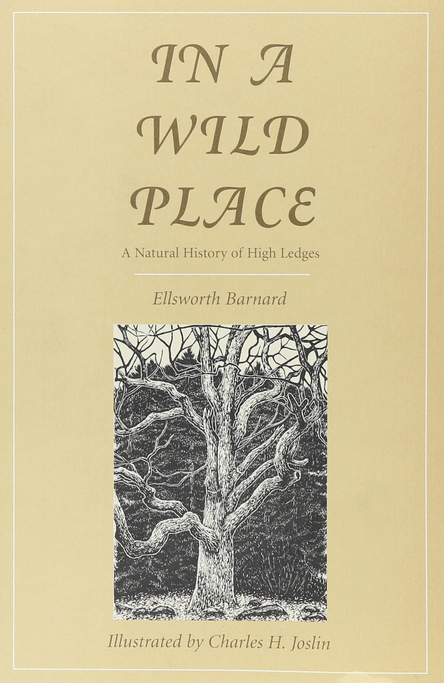 In a Wild Place: A Natural History of High Ledges book cover