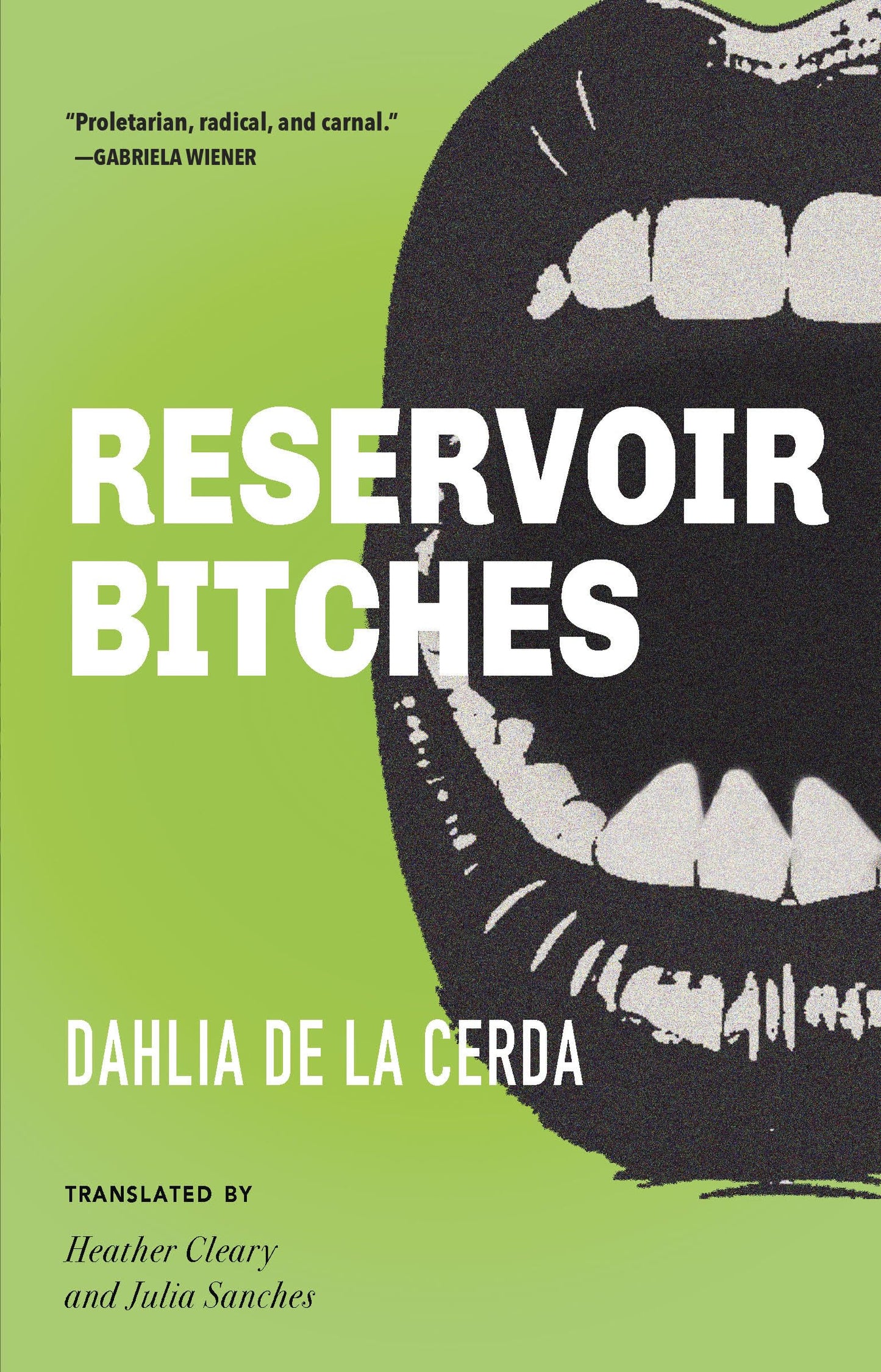 Reservoir Bitches book cover