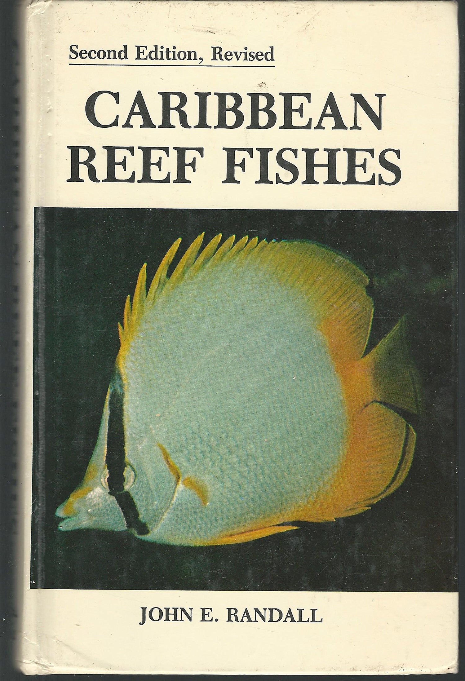 Caribbean Reef Fishes (Rev) book cover