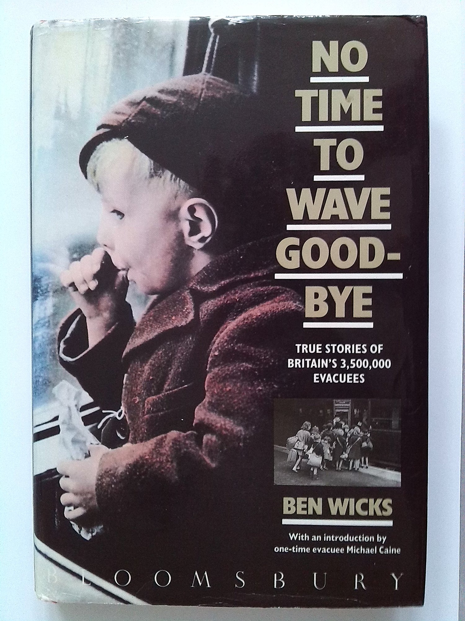 No time to wave goodbye book cover