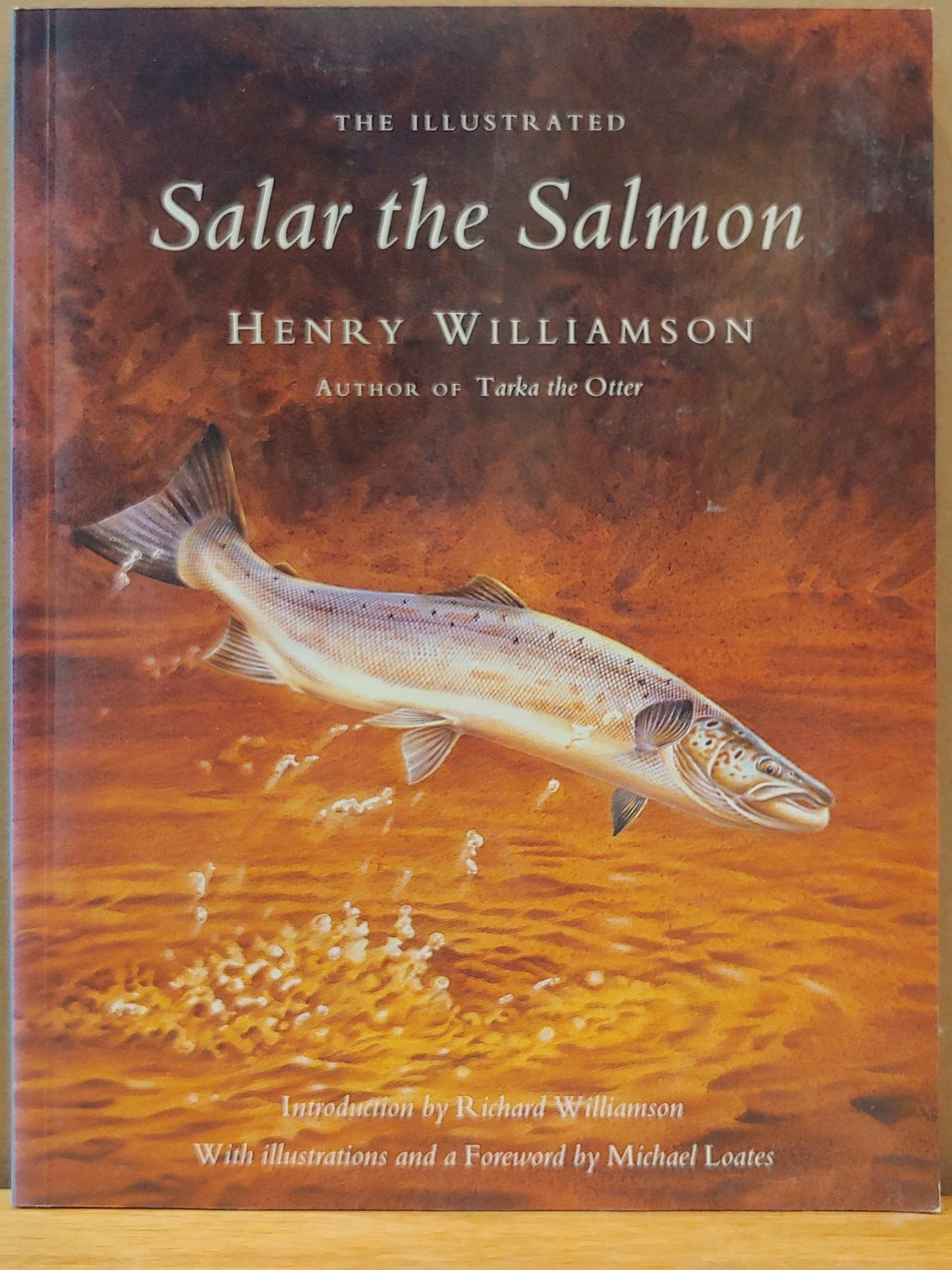 Salar the Salmon book cover