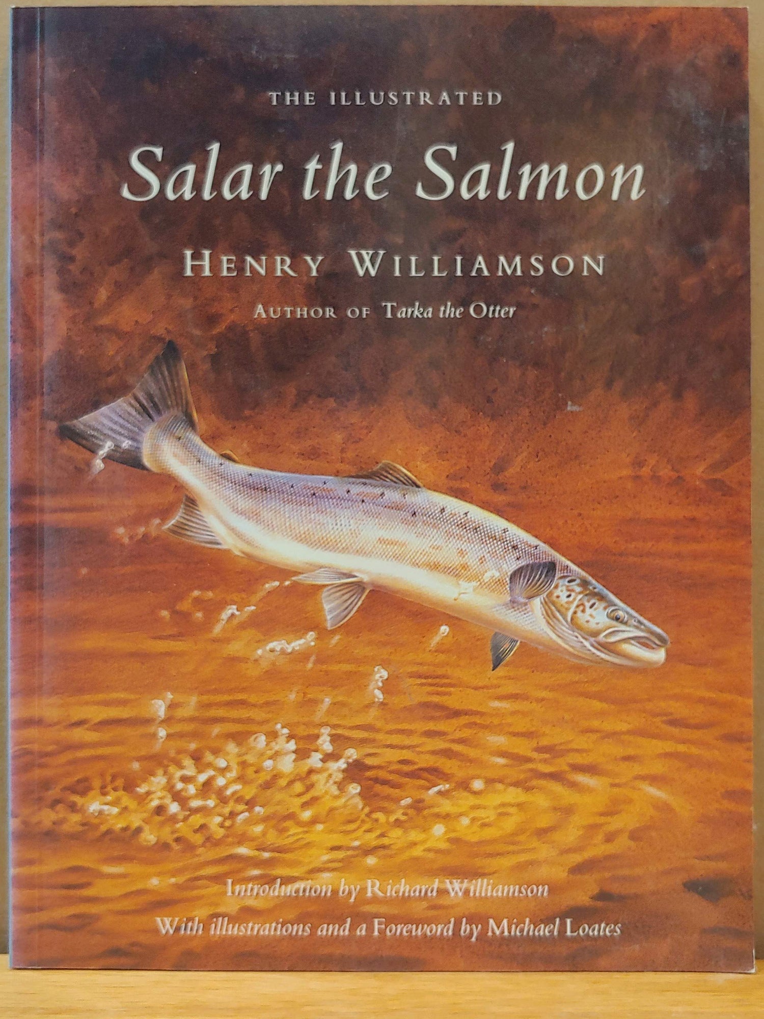 Salar the Salmon book cover