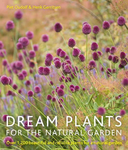 Dream Plants for the Natural Garden: Over 1,200 Beautiful and Reliable Plants for a Natural Garden book cover