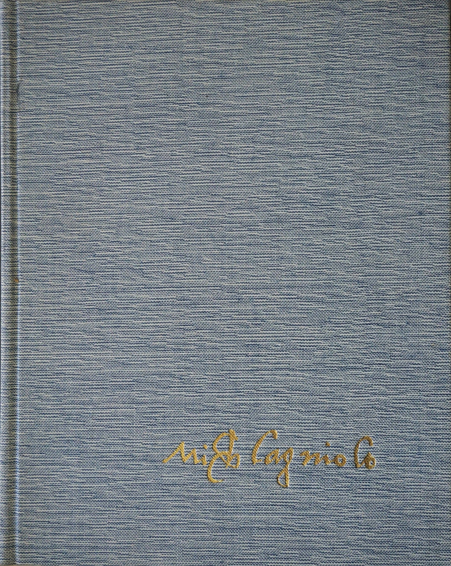 Michelangelo, Paintings, Sculptures, ARC book cover