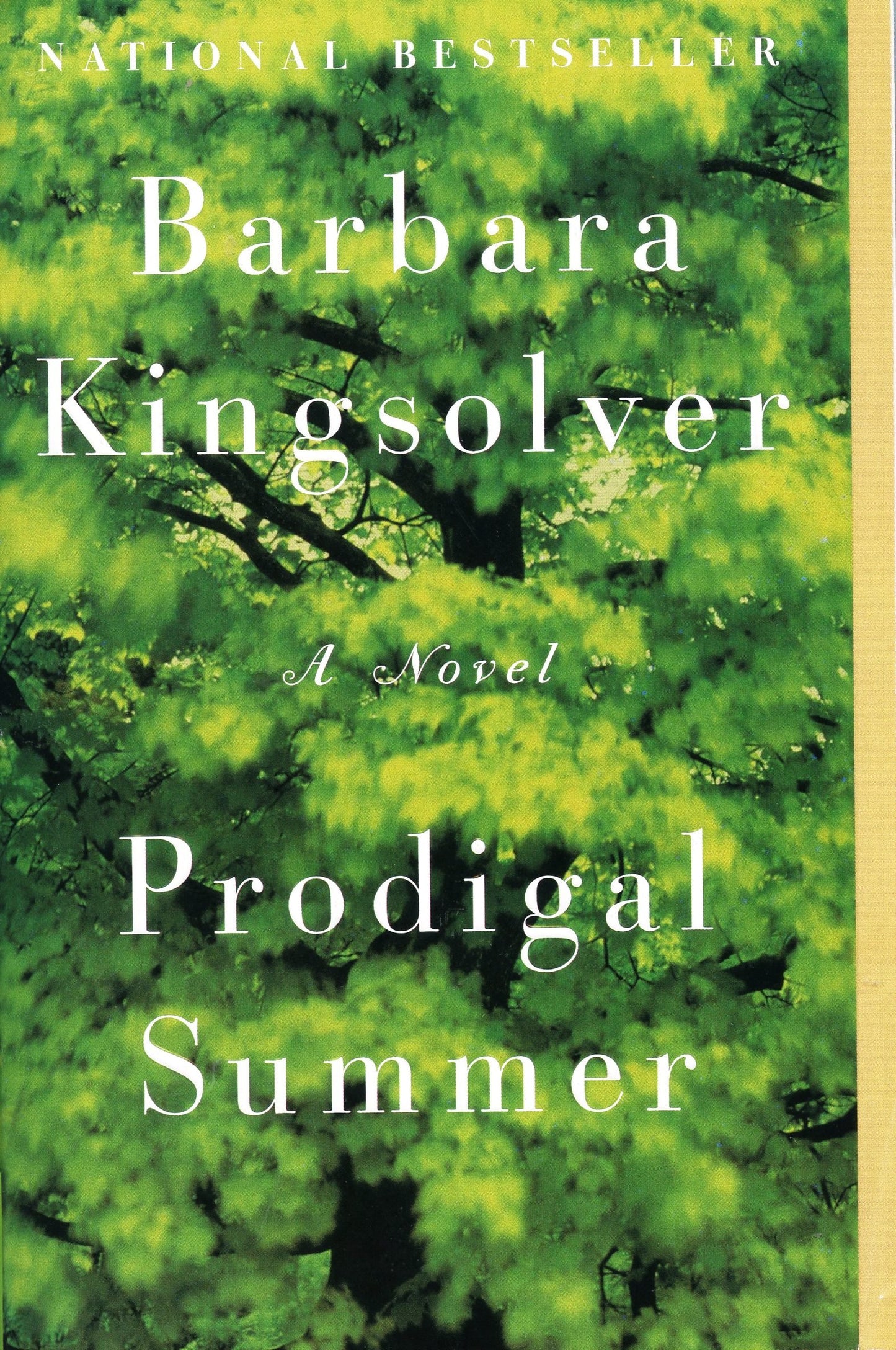 Prodigal Summer book cover