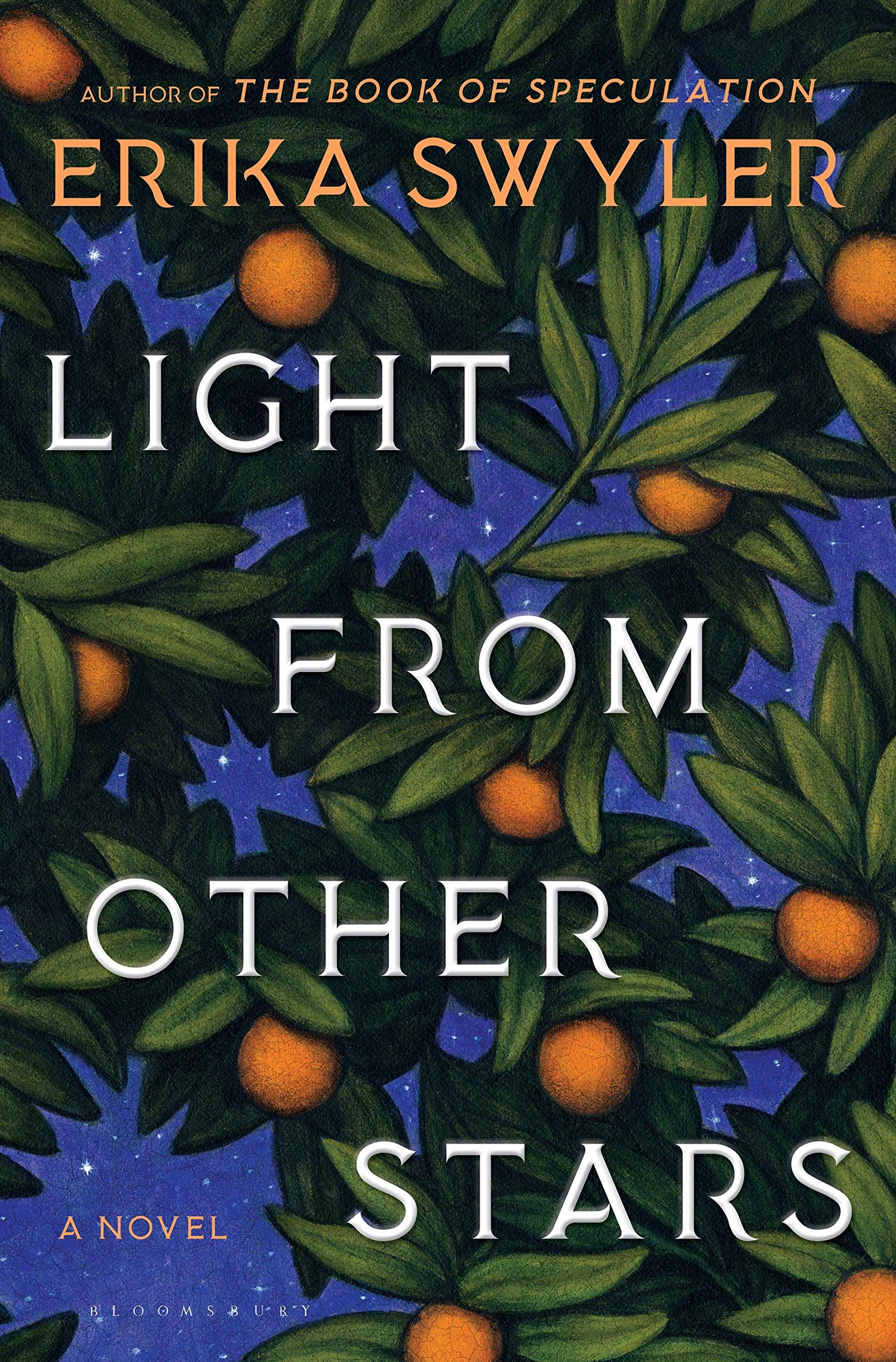 Light from Other Stars book cover