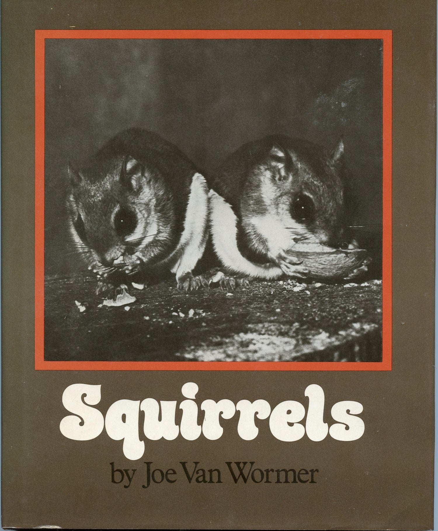 Squirrels book cover